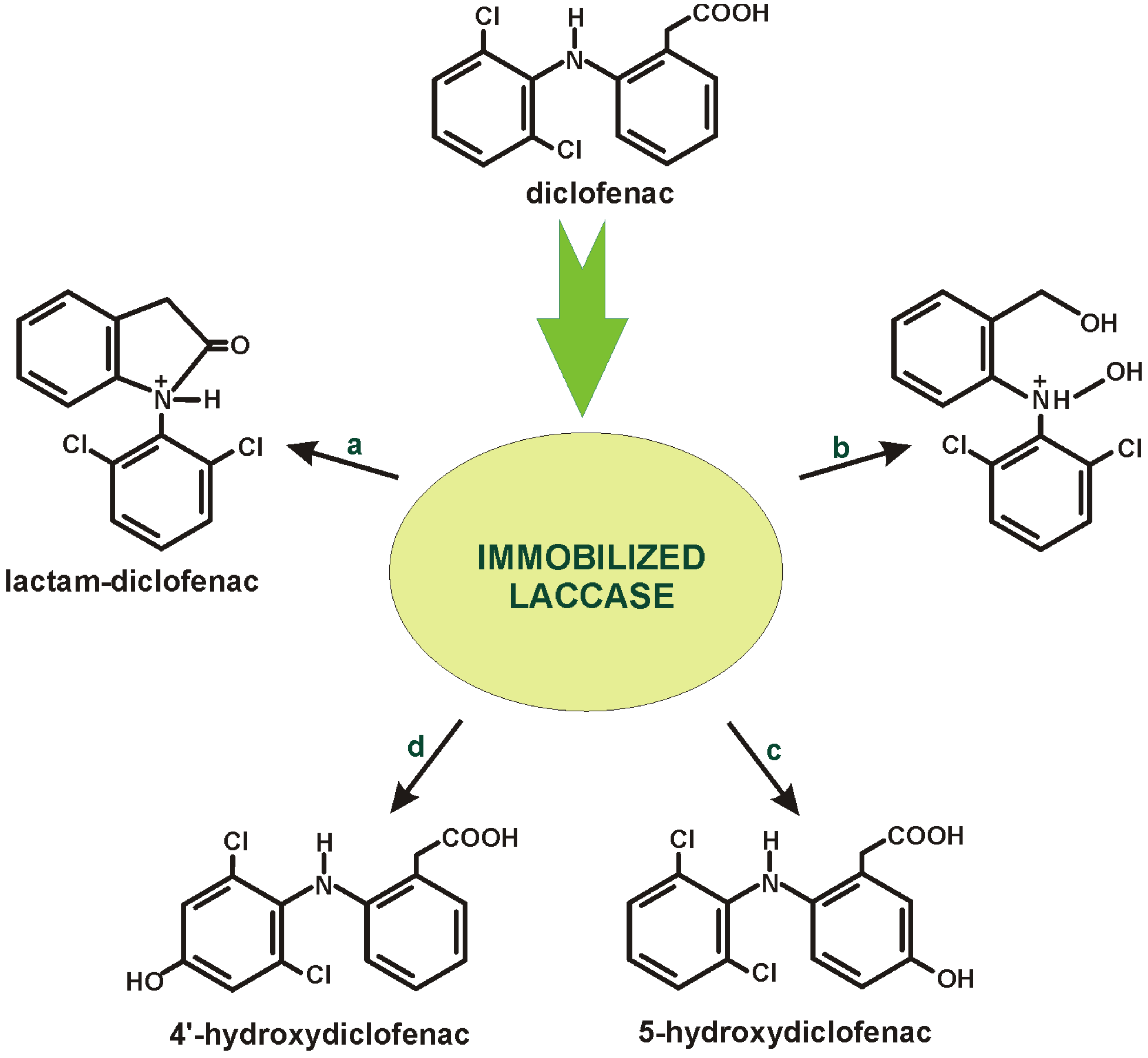 Catalysts 13 00412 g003