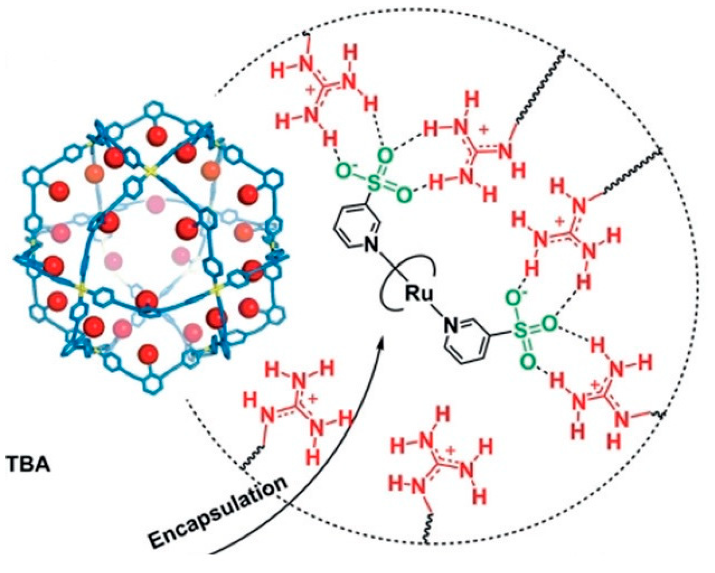 Catalysts 13 00415 g008 Catalysts 13 00415 g008