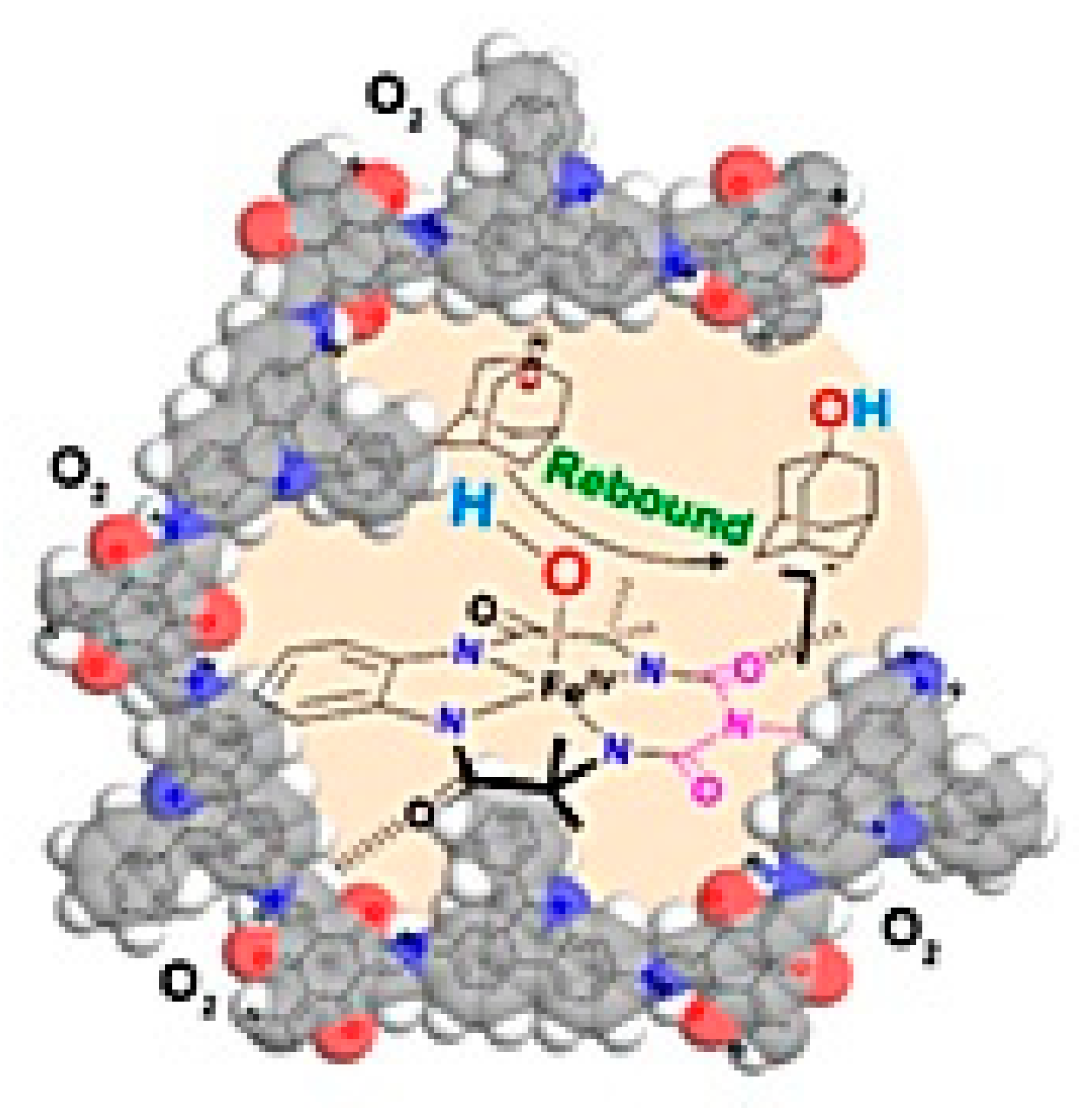 Catalysts 13 00415 g014 Catalysts 13 00415 g014