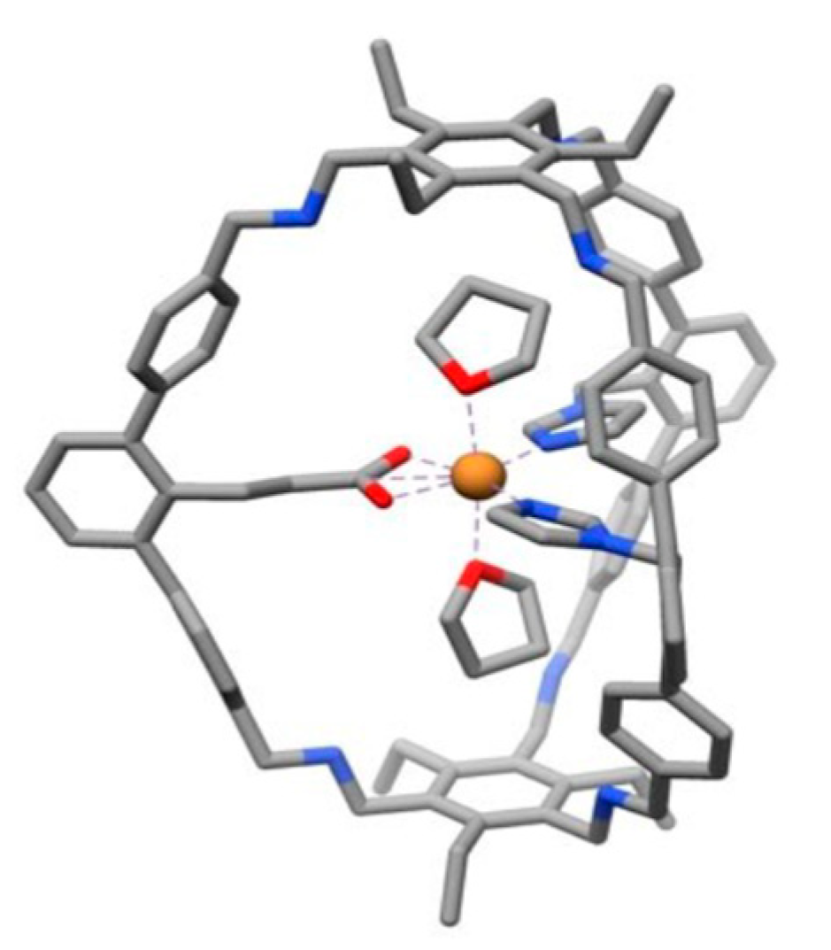 Catalysts 13 00415 g015 Catalysts 13 00415 g015