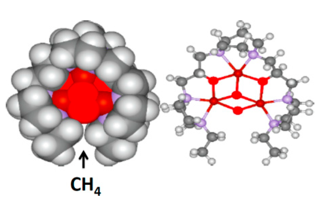 Catalysts 13 00415 g016 Catalysts 13 00415 g016