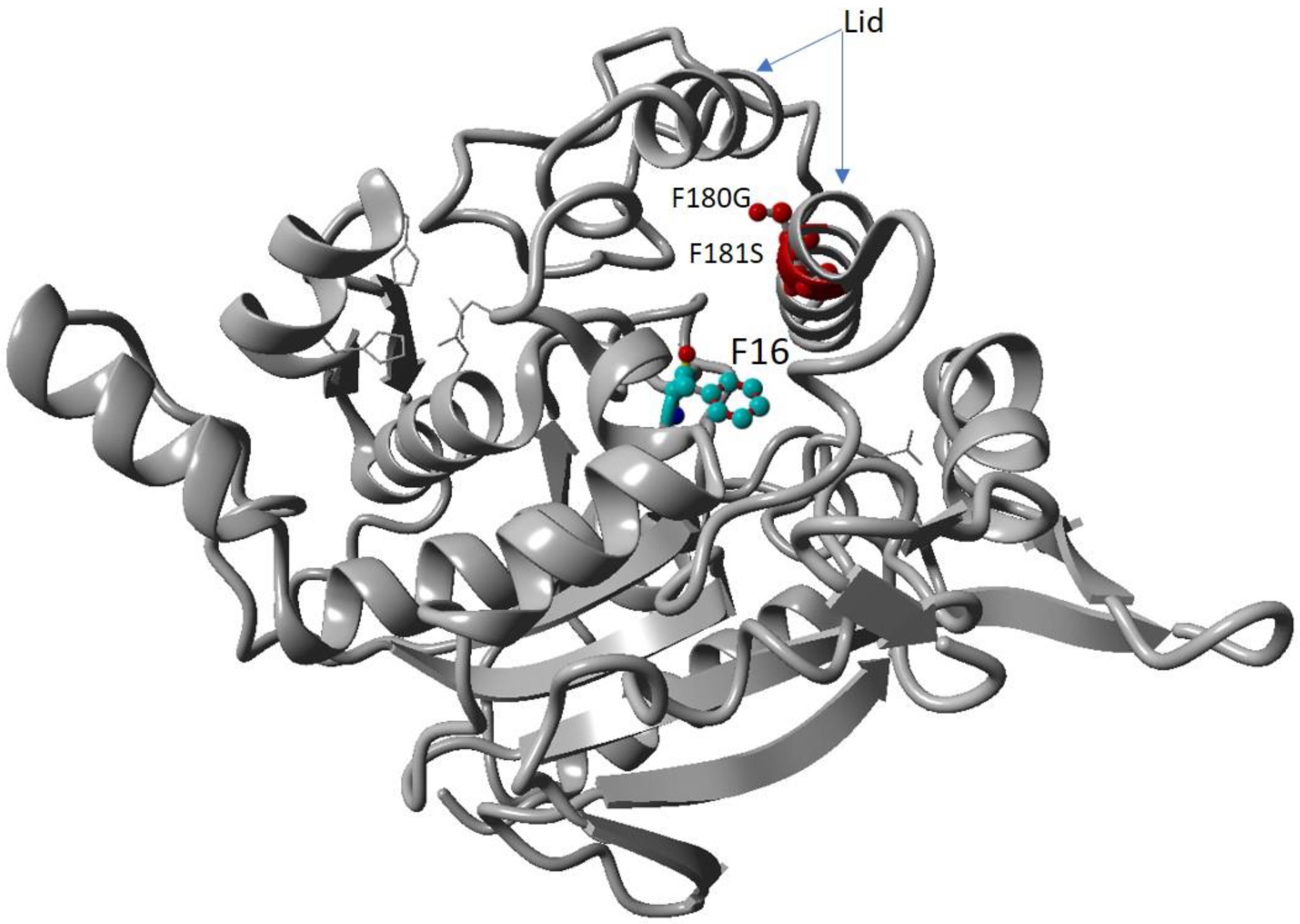 Catalysts 13 00416 g001
