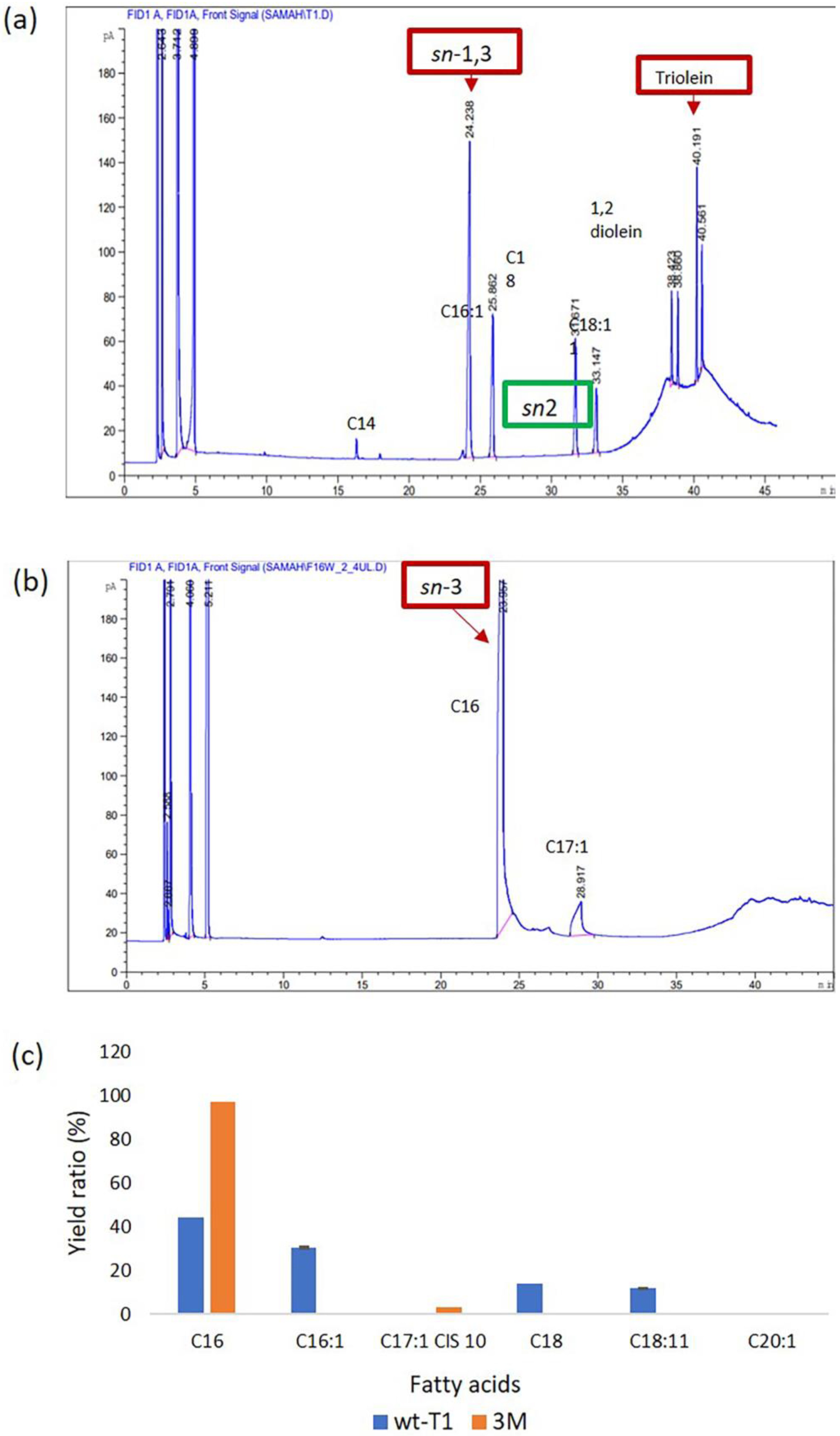 Catalysts 13 00416 g004