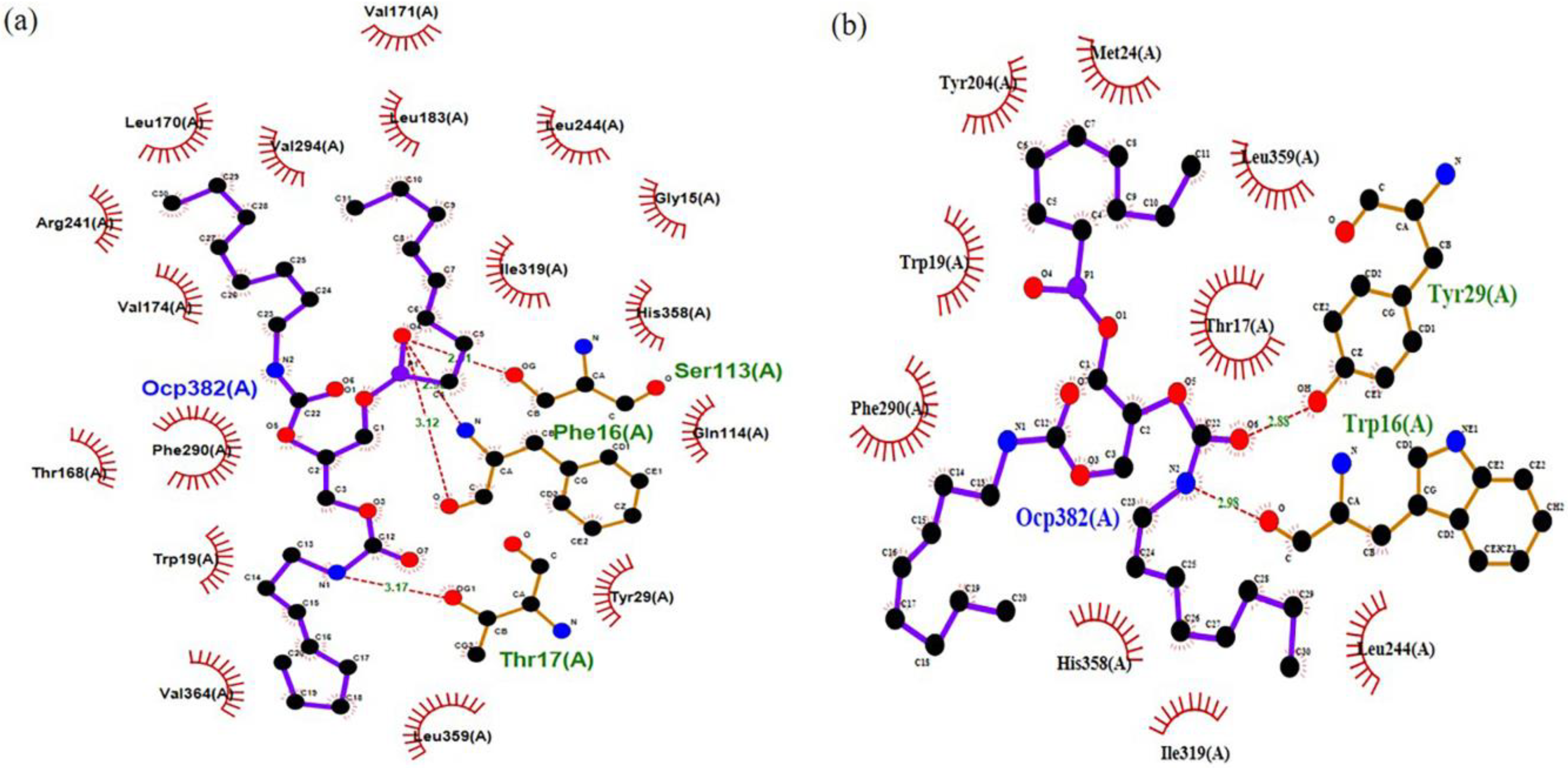 Catalysts 13 00416 g005