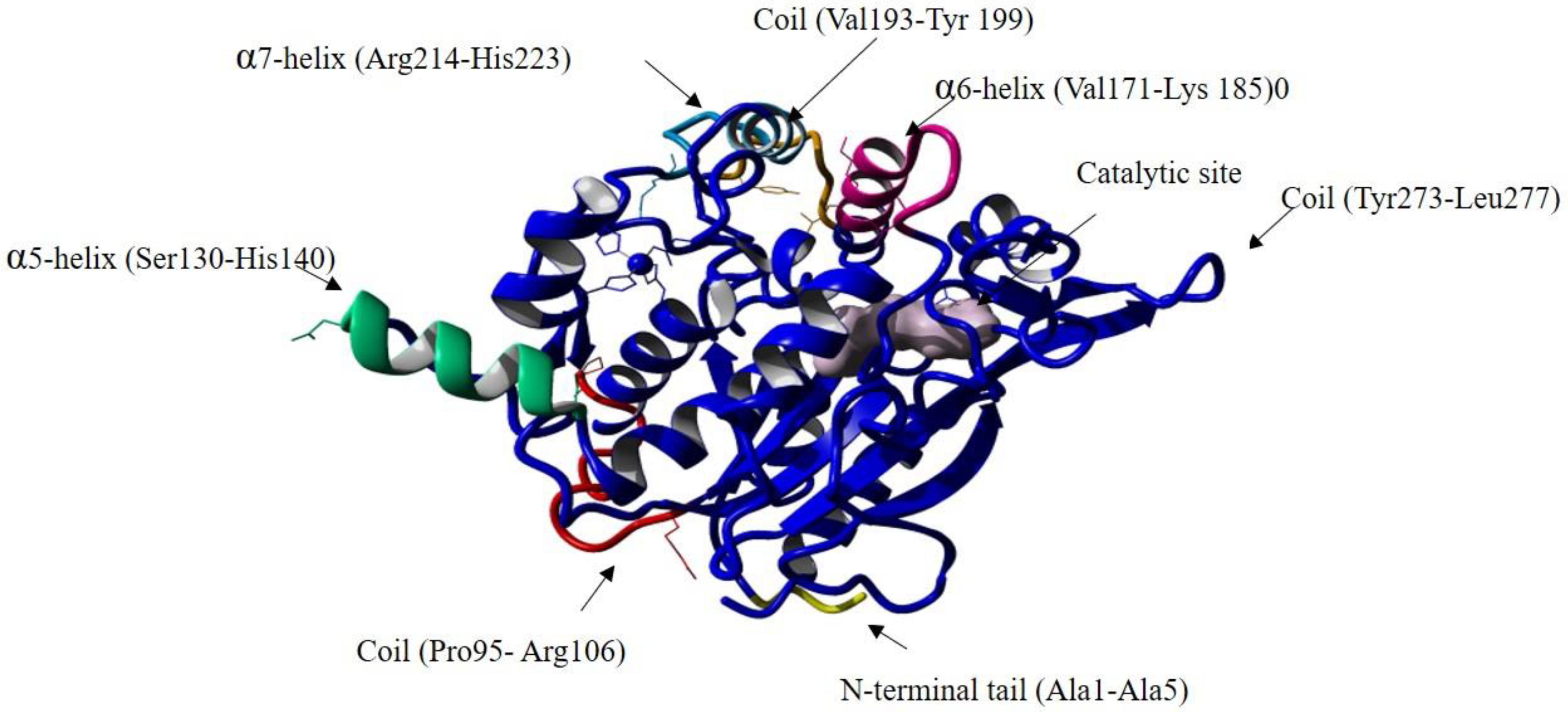 Catalysts 13 00416 g007