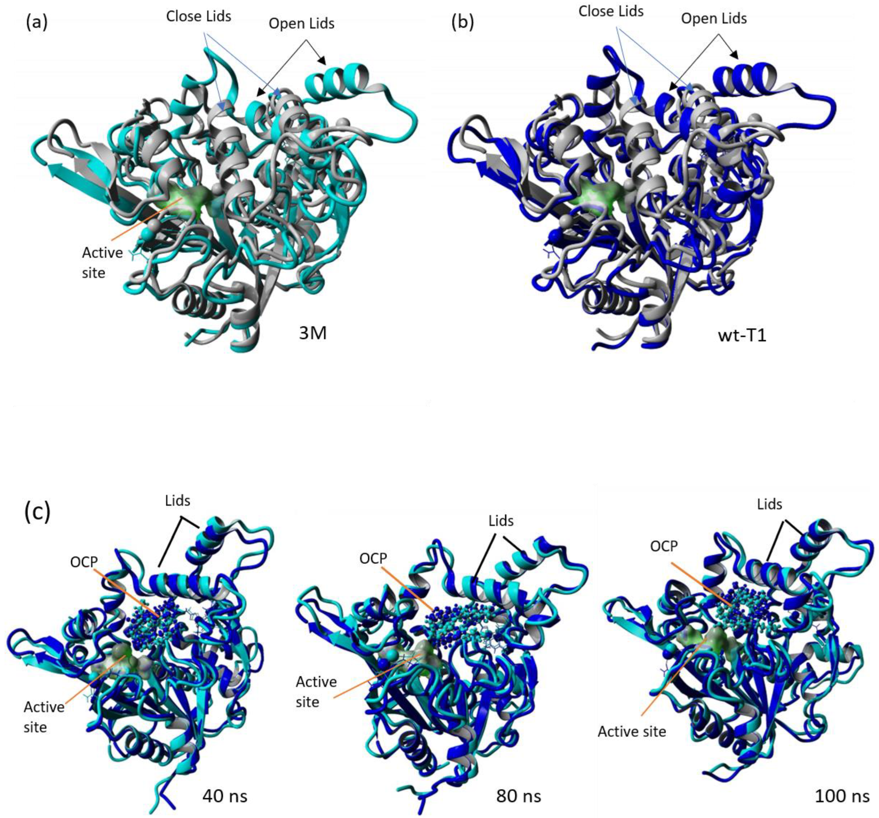 Catalysts 13 00416 g008