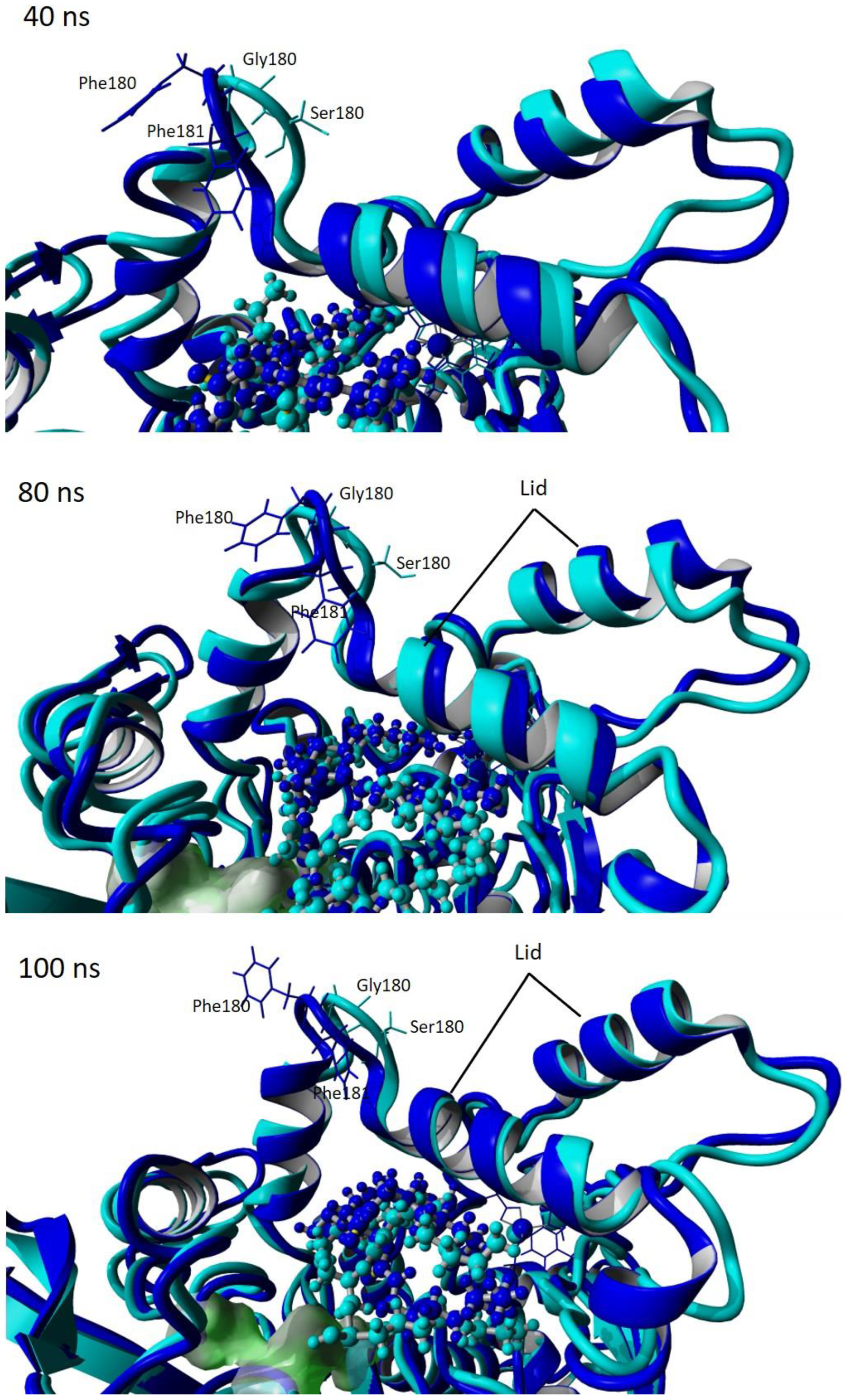 Catalysts 13 00416 g010