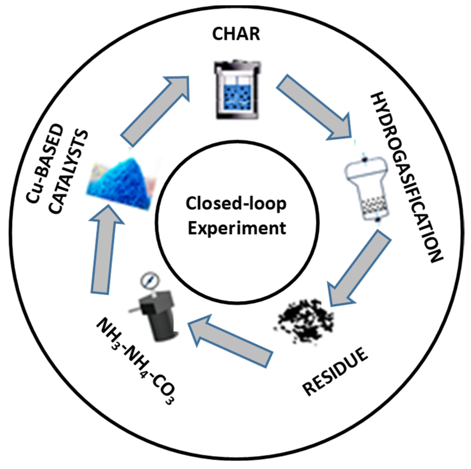 Catalysts 13 00417 g013