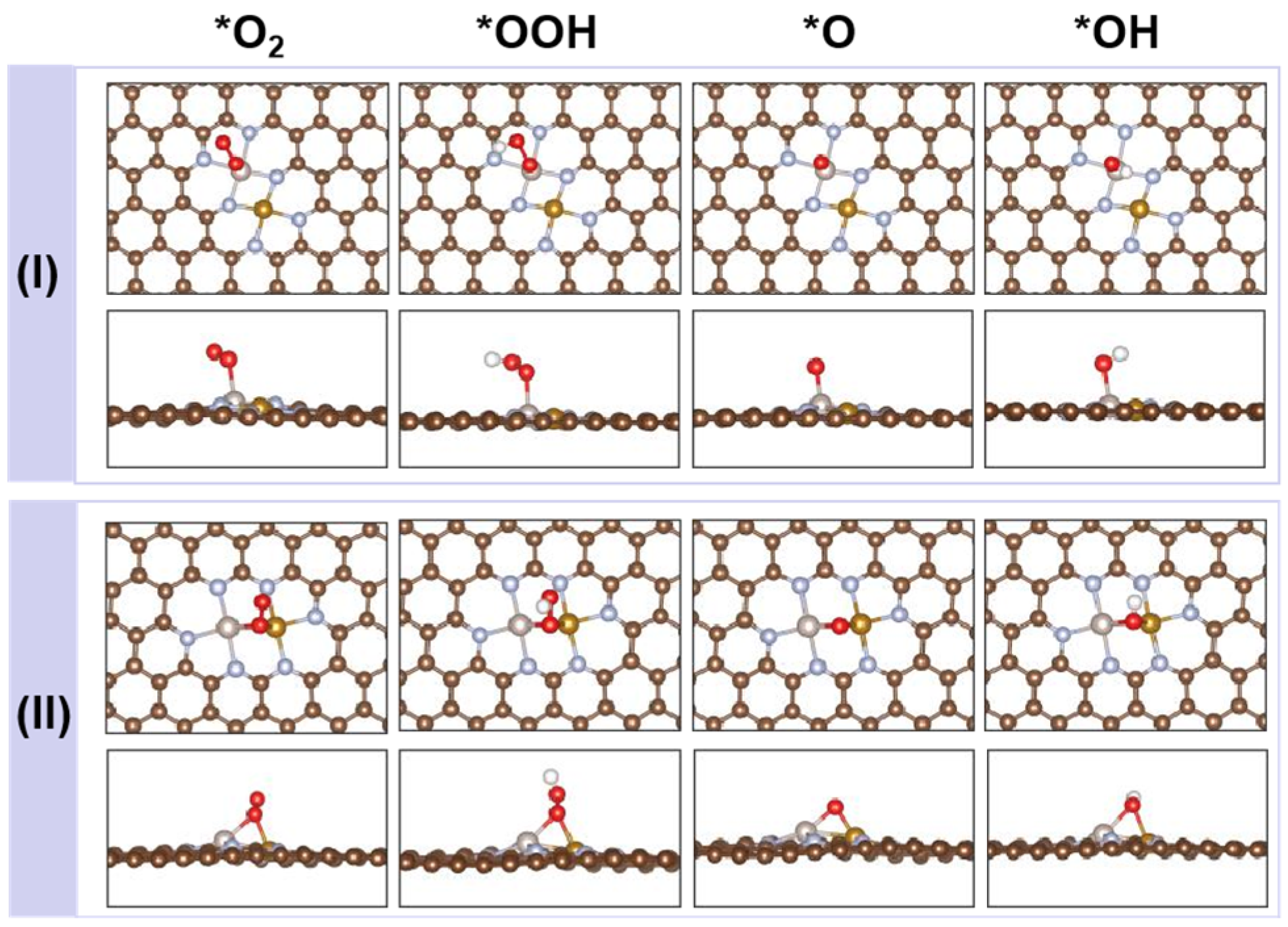 Catalysts 13 00418 g003