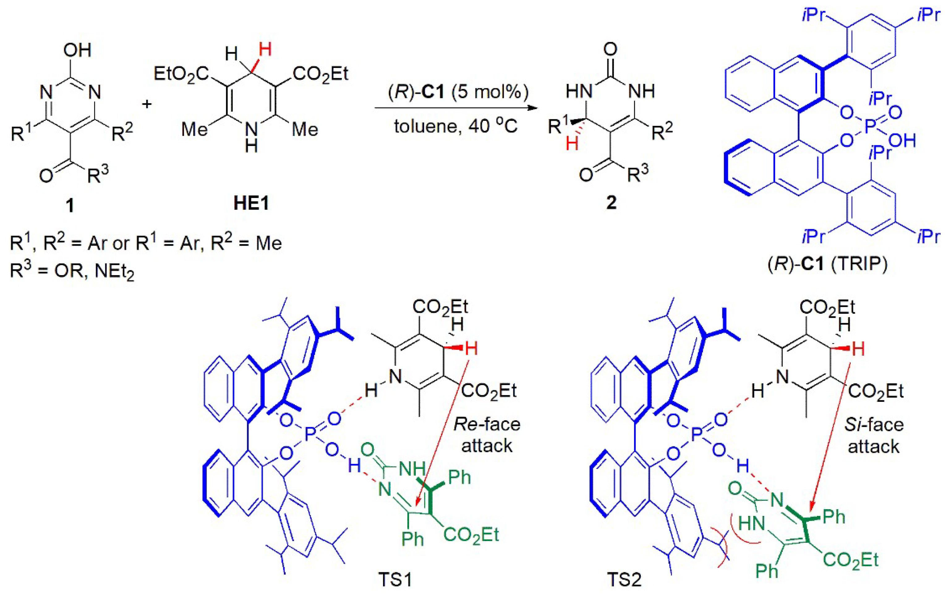 Catalysts 13 00419 g002
