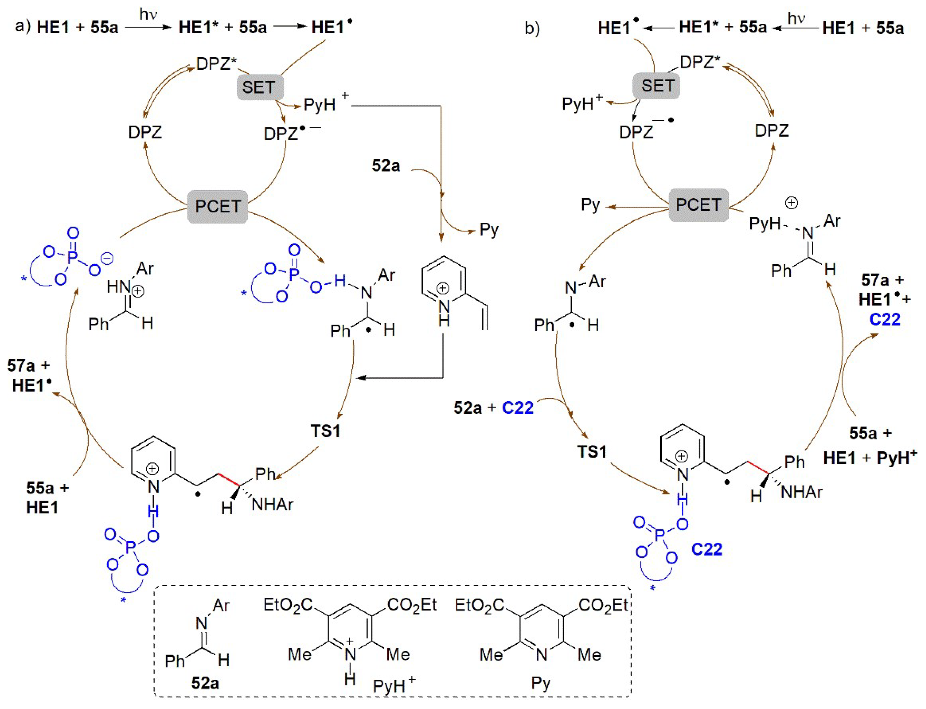 Catalysts 13 00419 g019