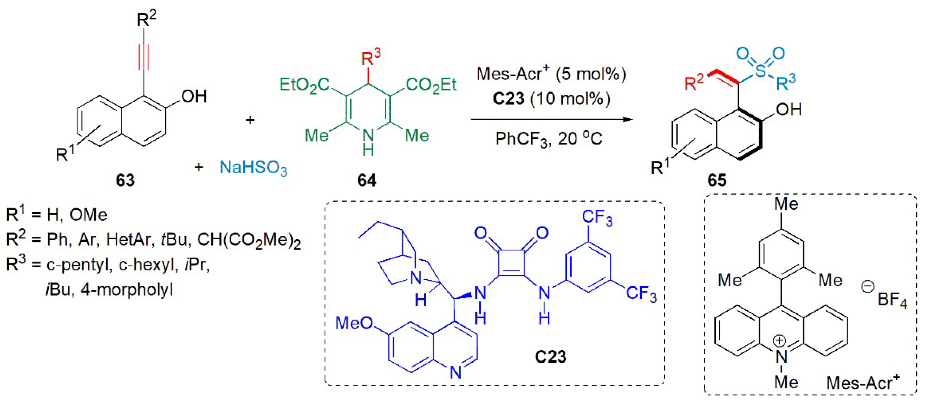 Catalysts 13 00419 g024