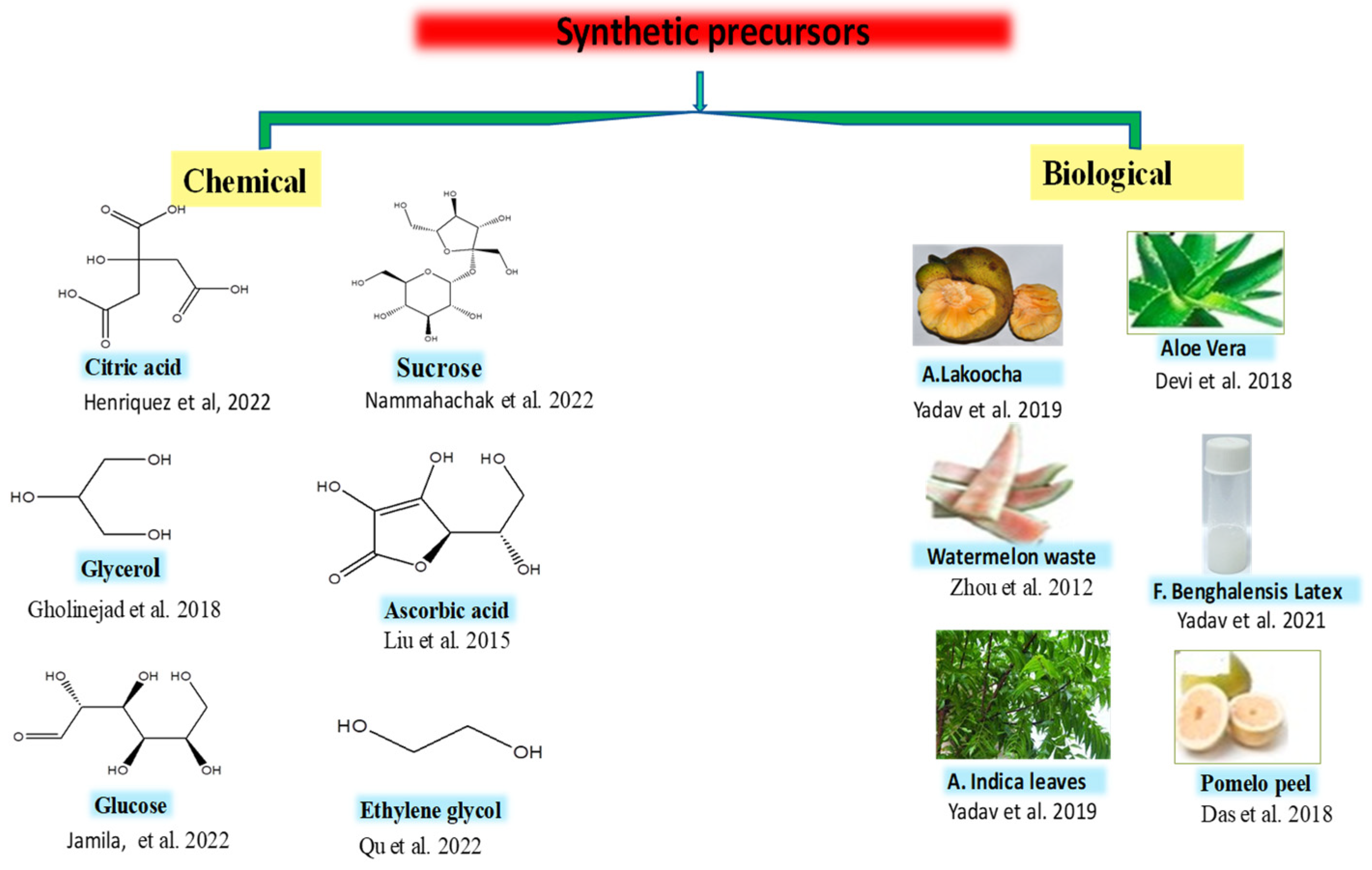 Catalysts 13 00422 g002