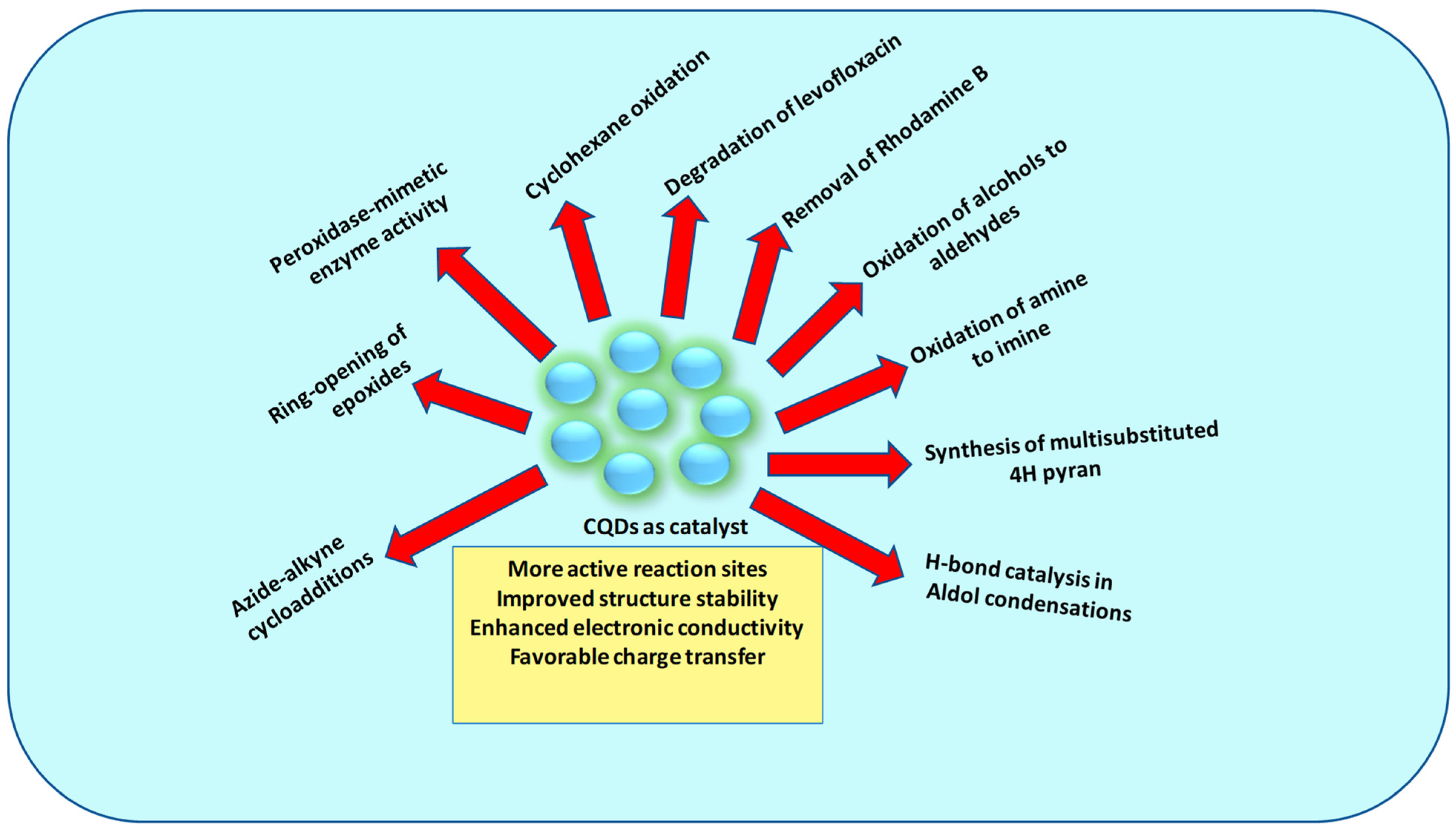 Catalysts 13 00422 g006