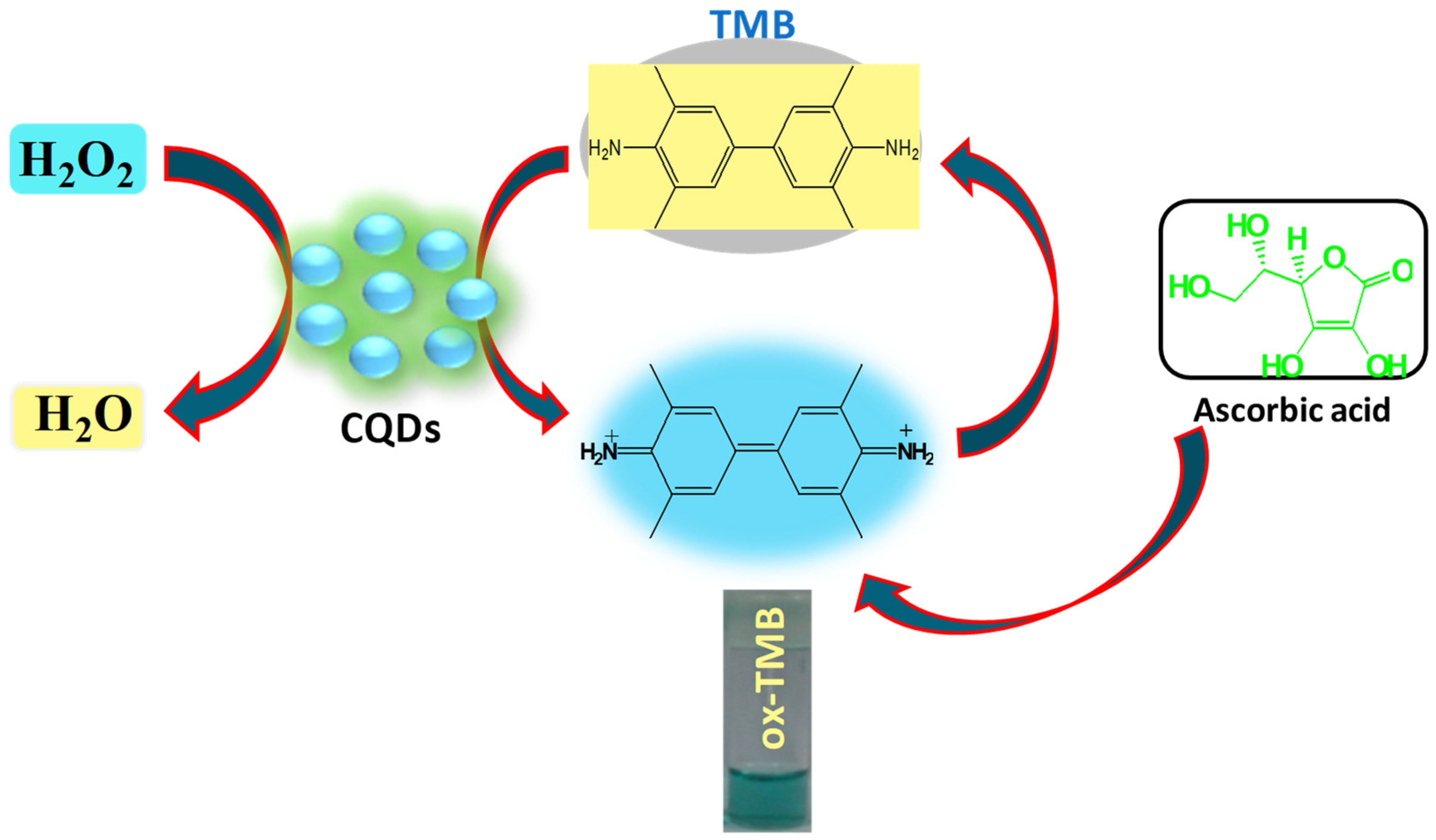 Catalysts 13 00422 g007