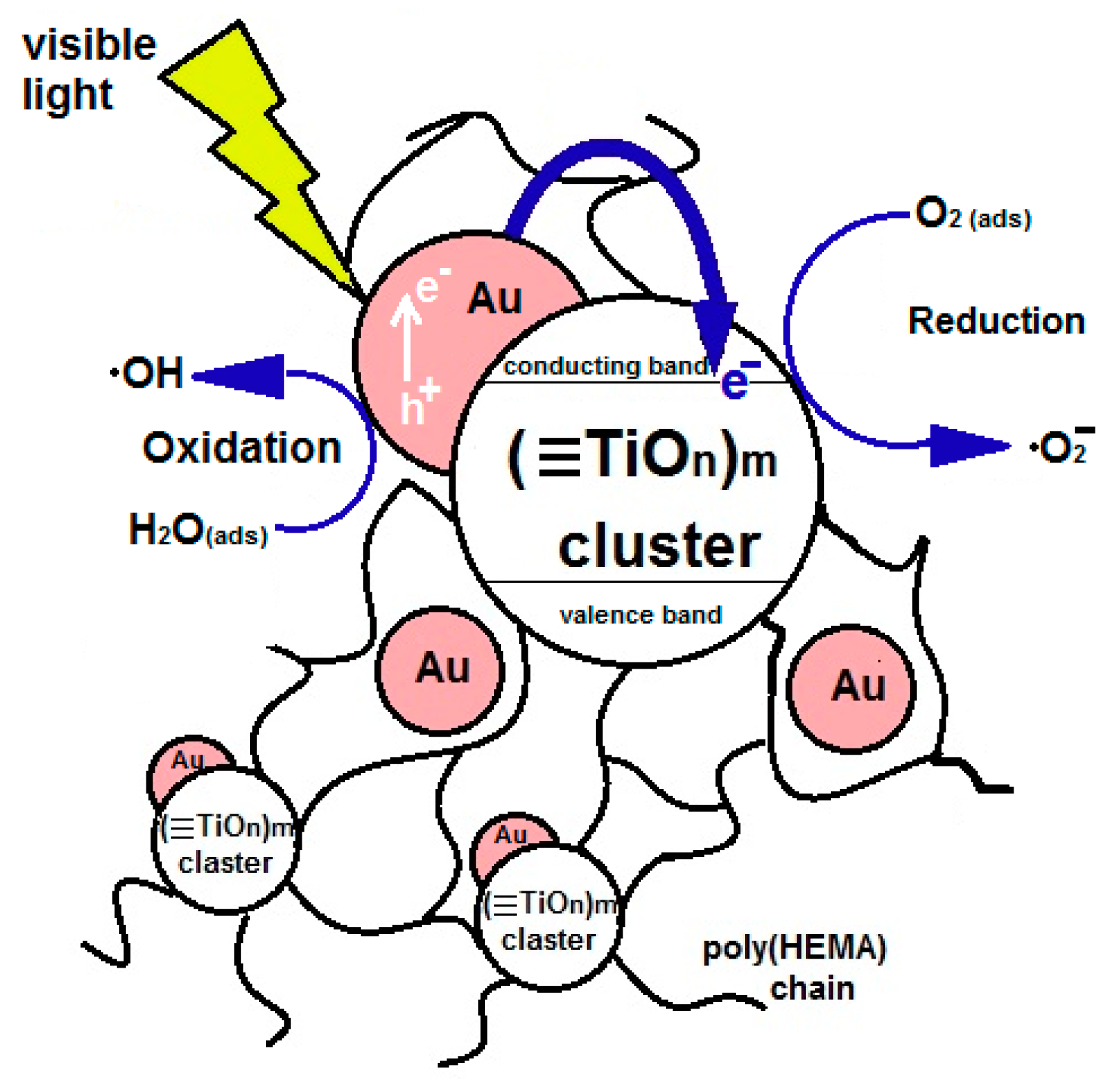 Catalysts 13 00423 g014
