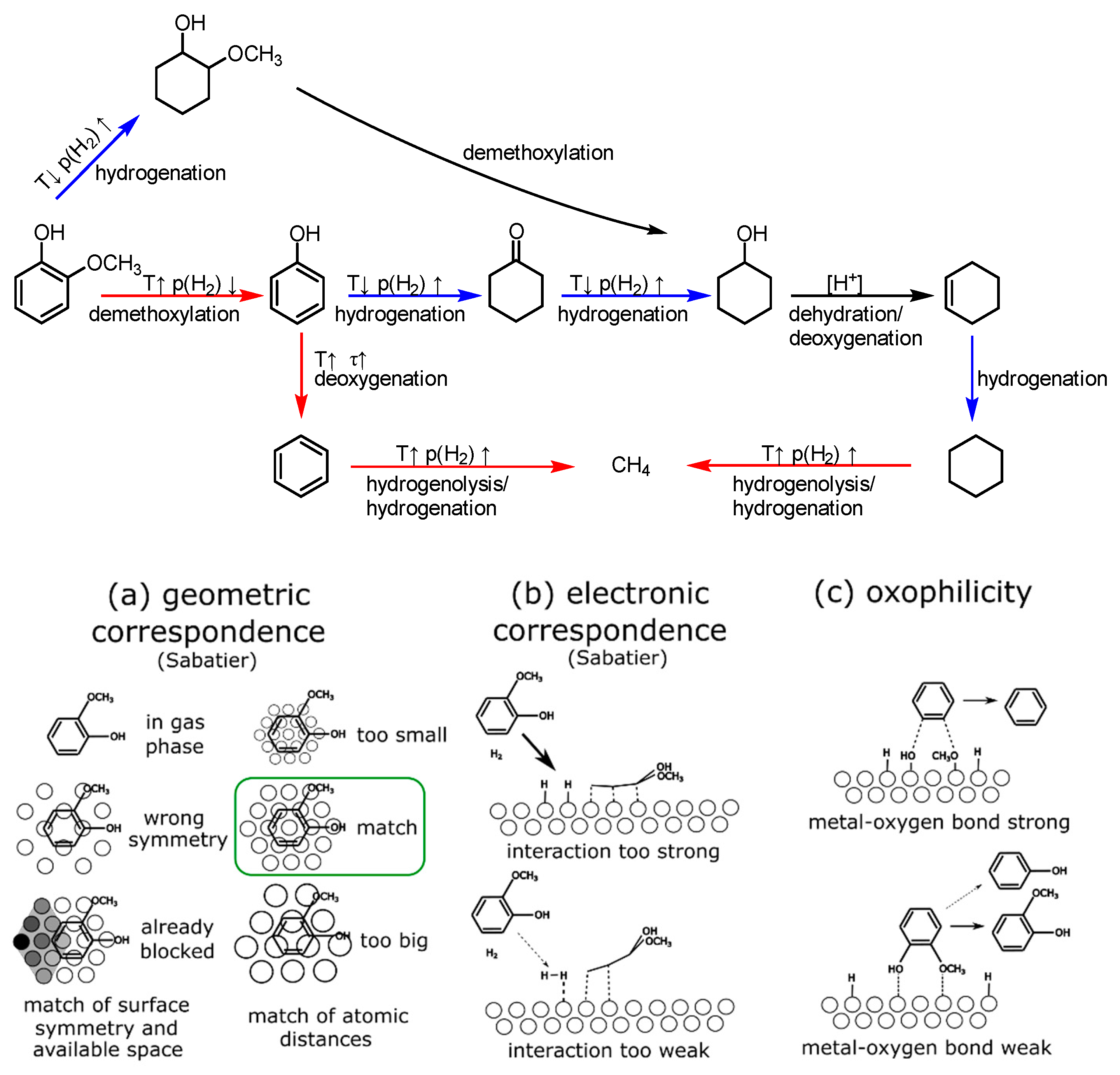 Catalysts 13 00425 g001 Catalysts 13 00425 g001