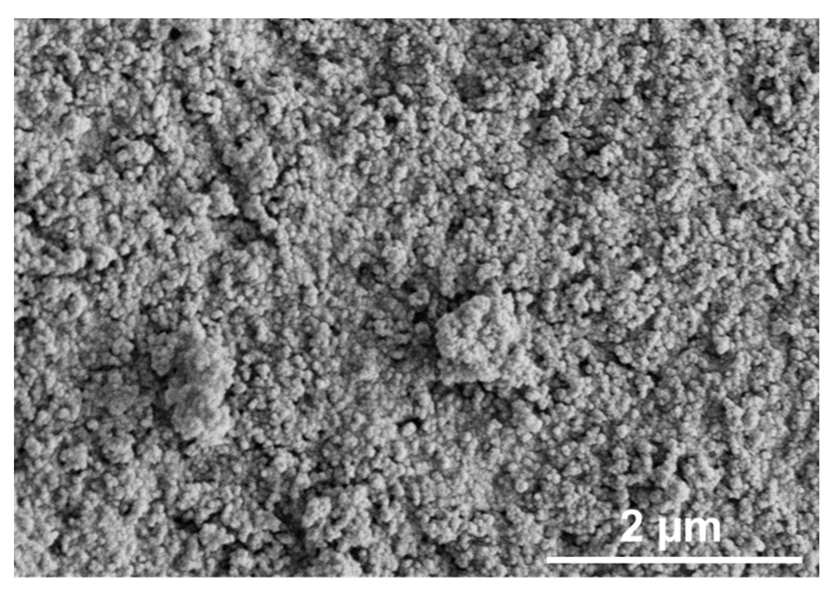 Catalysts 13 00425 g003 Catalysts 13 00425 g003