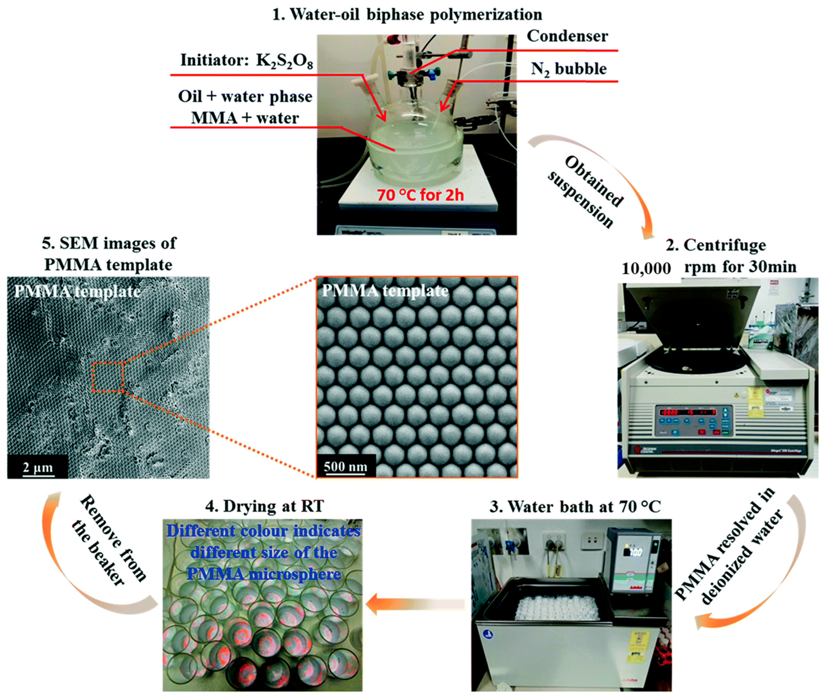 Catalysts 13 00427 g001