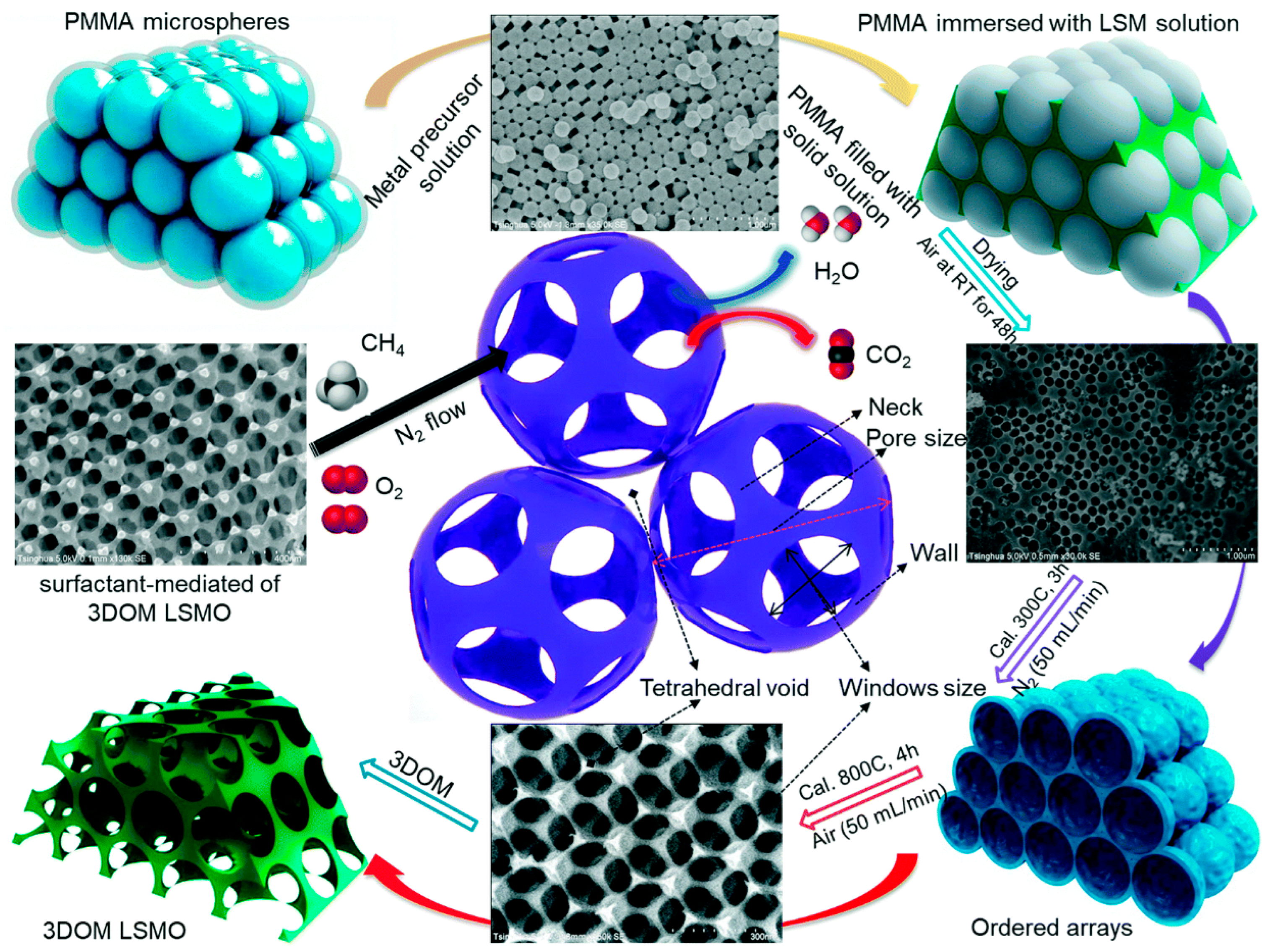 Catalysts 13 00427 g002