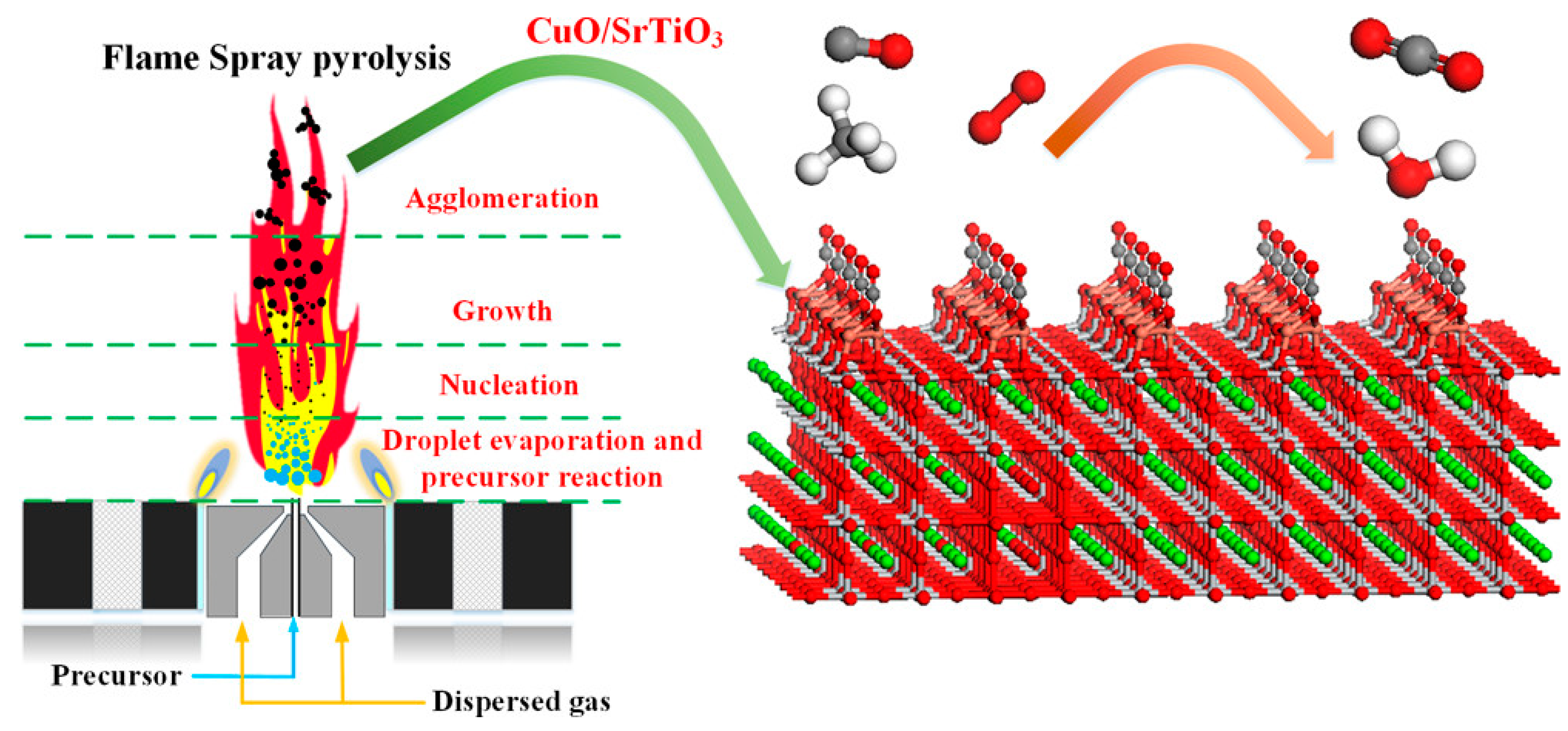 Catalysts 13 00427 g007