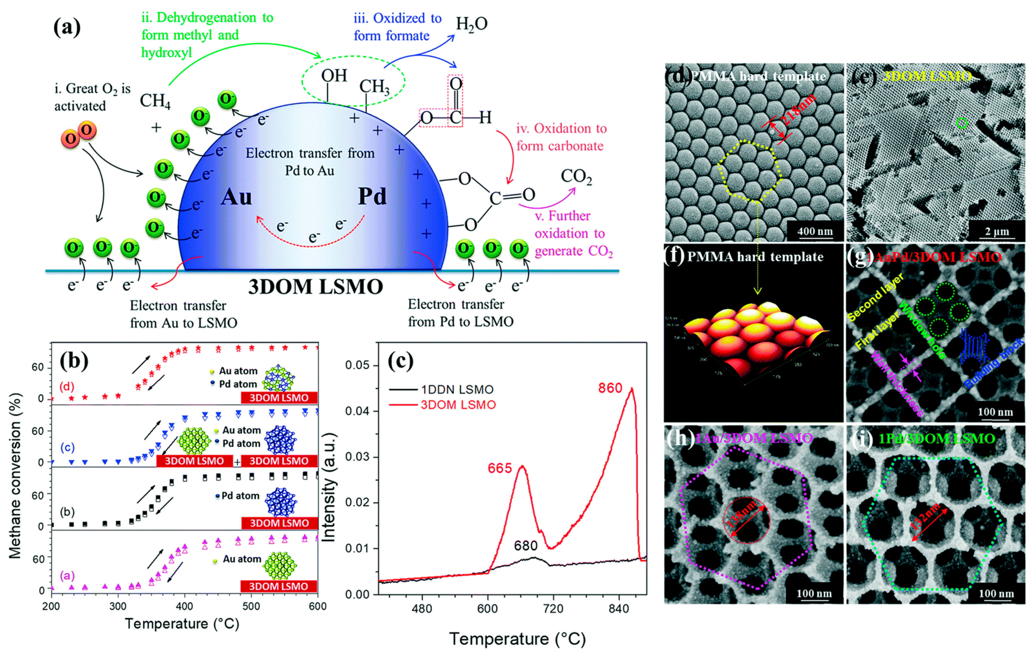 Catalysts 13 00427 g010