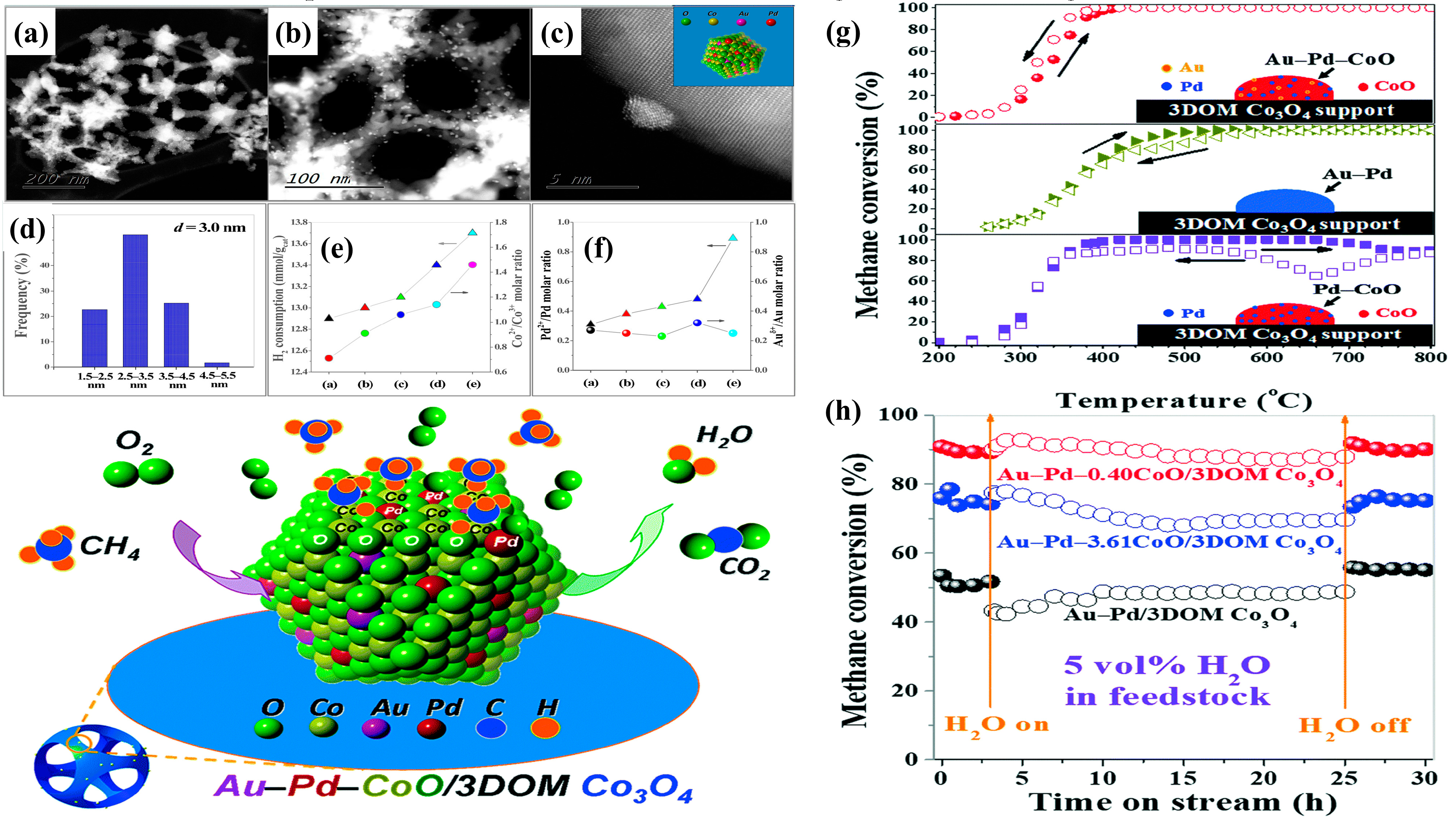 Catalysts 13 00427 g011