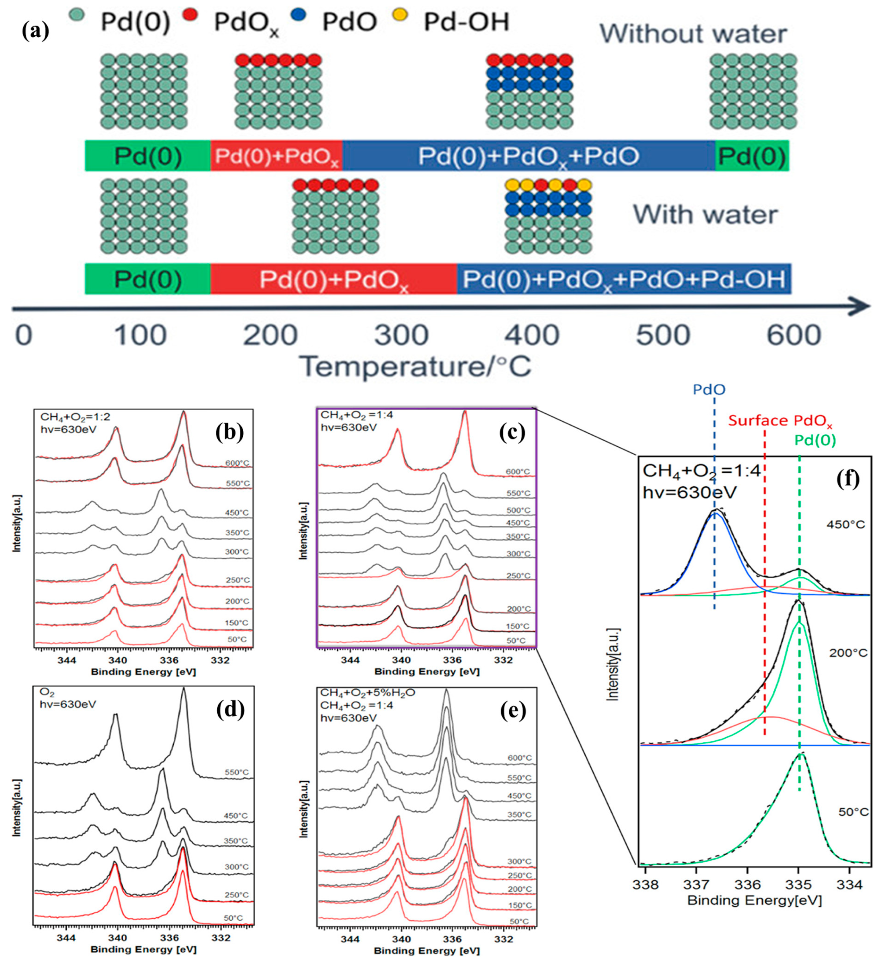 Catalysts 13 00427 g012