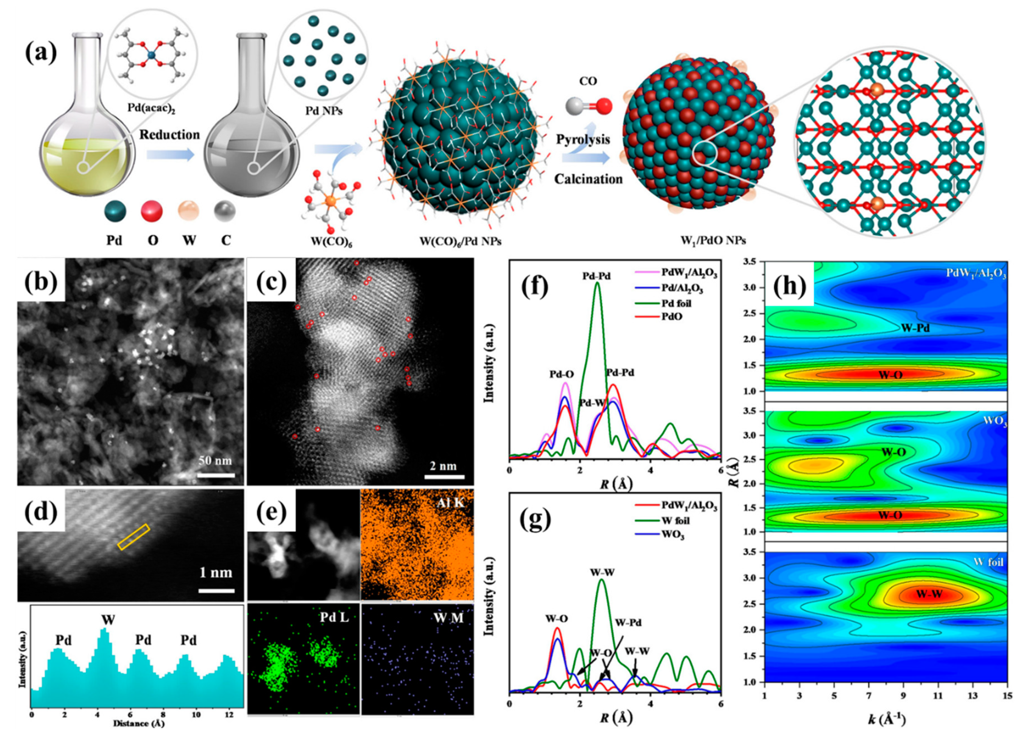 Catalysts 13 00427 g013
