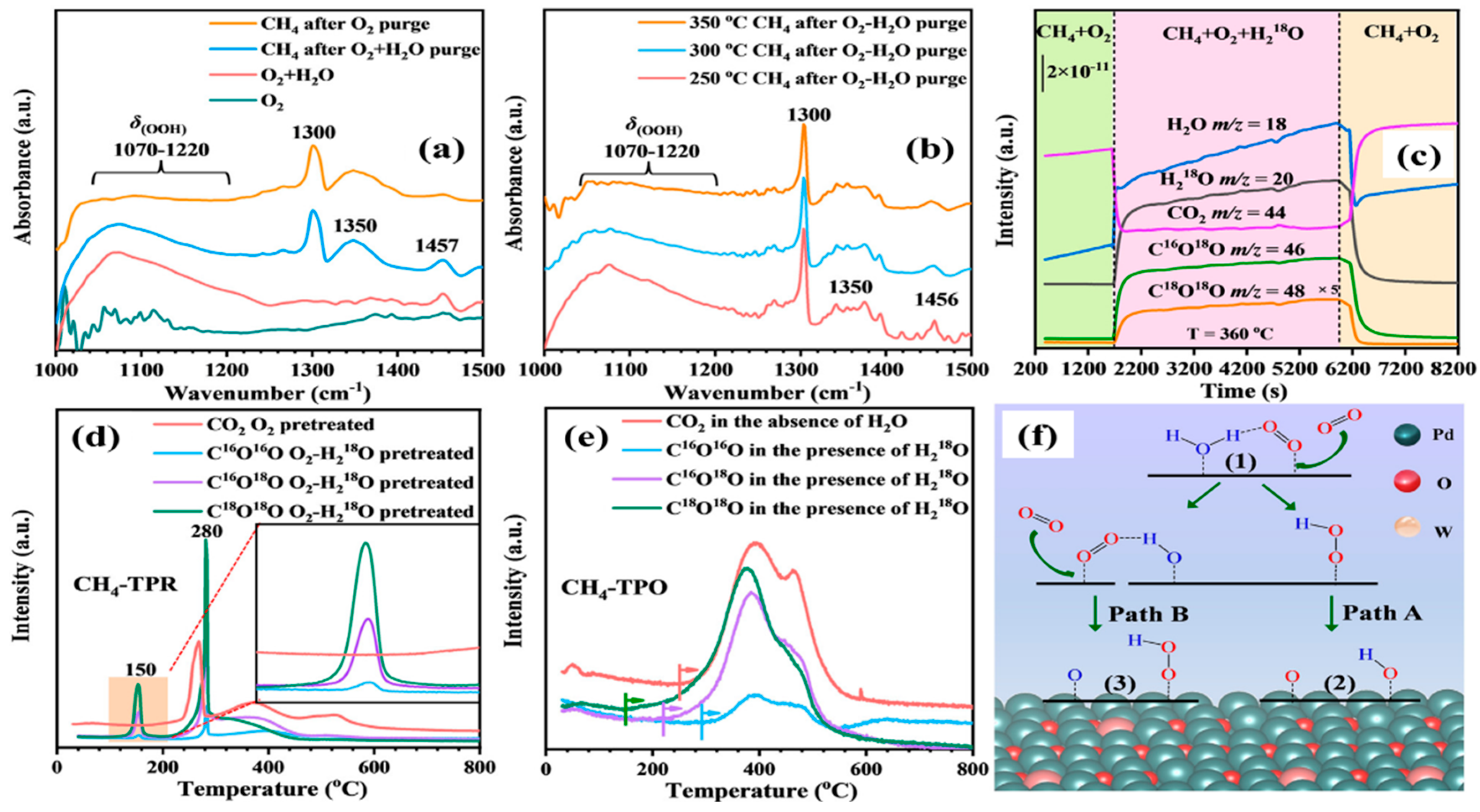 Catalysts 13 00427 g014