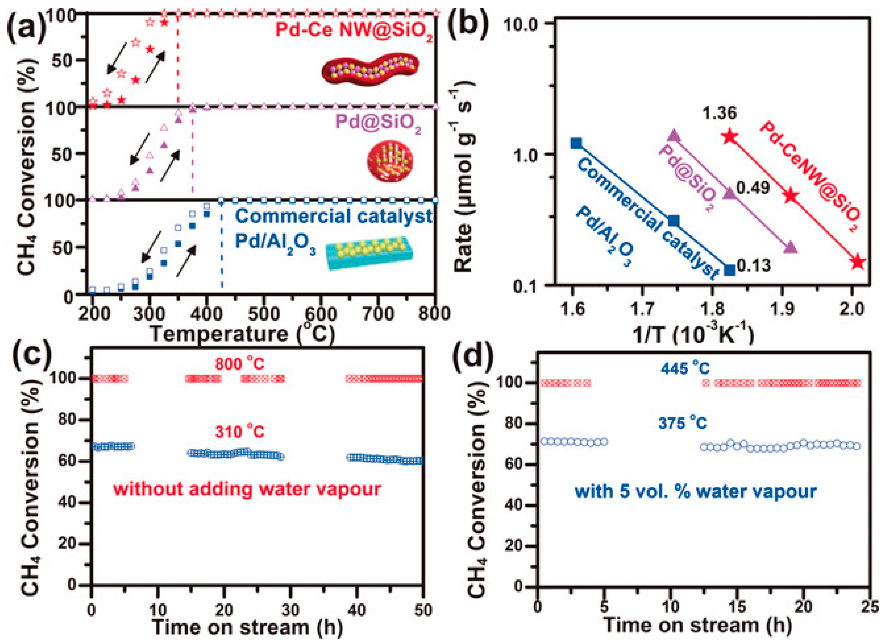 Catalysts 13 00427 g018