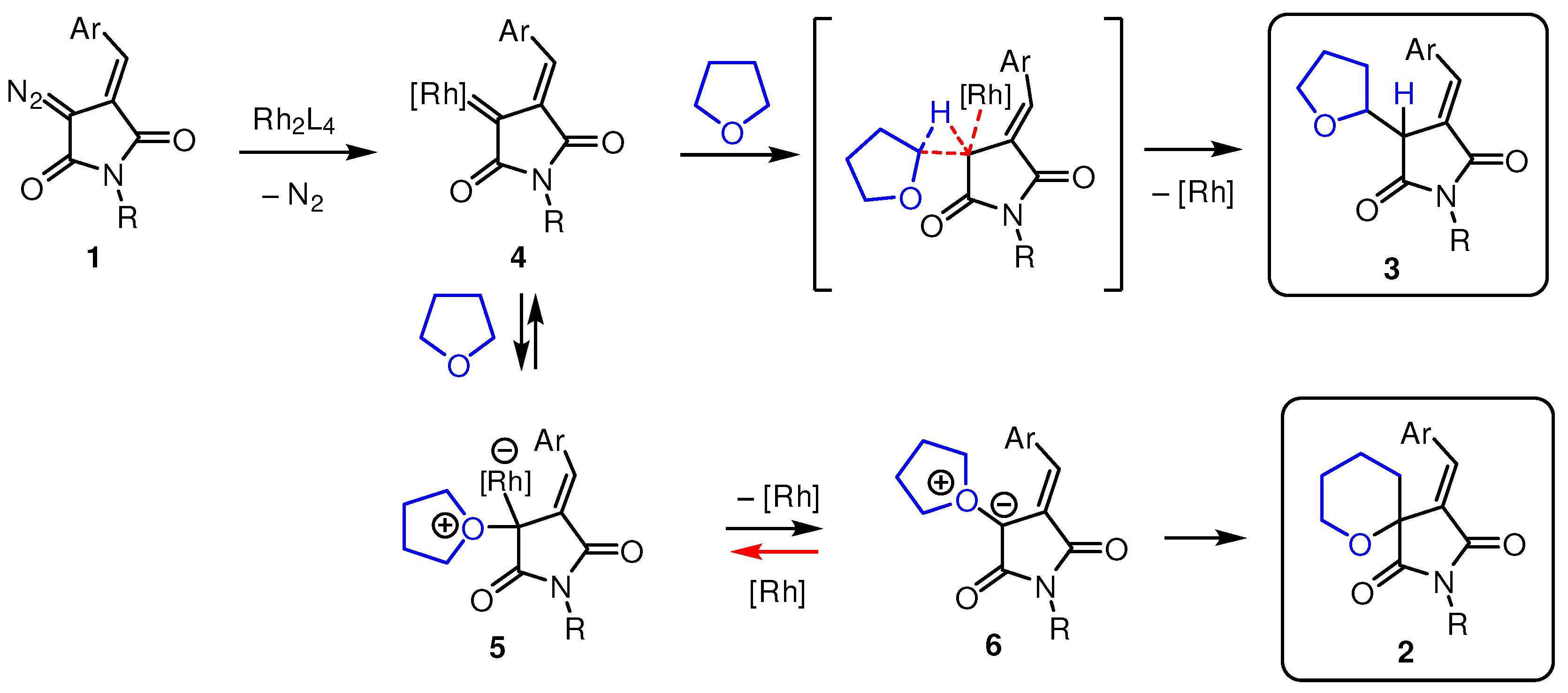 Catalysts 13 00428 sch002