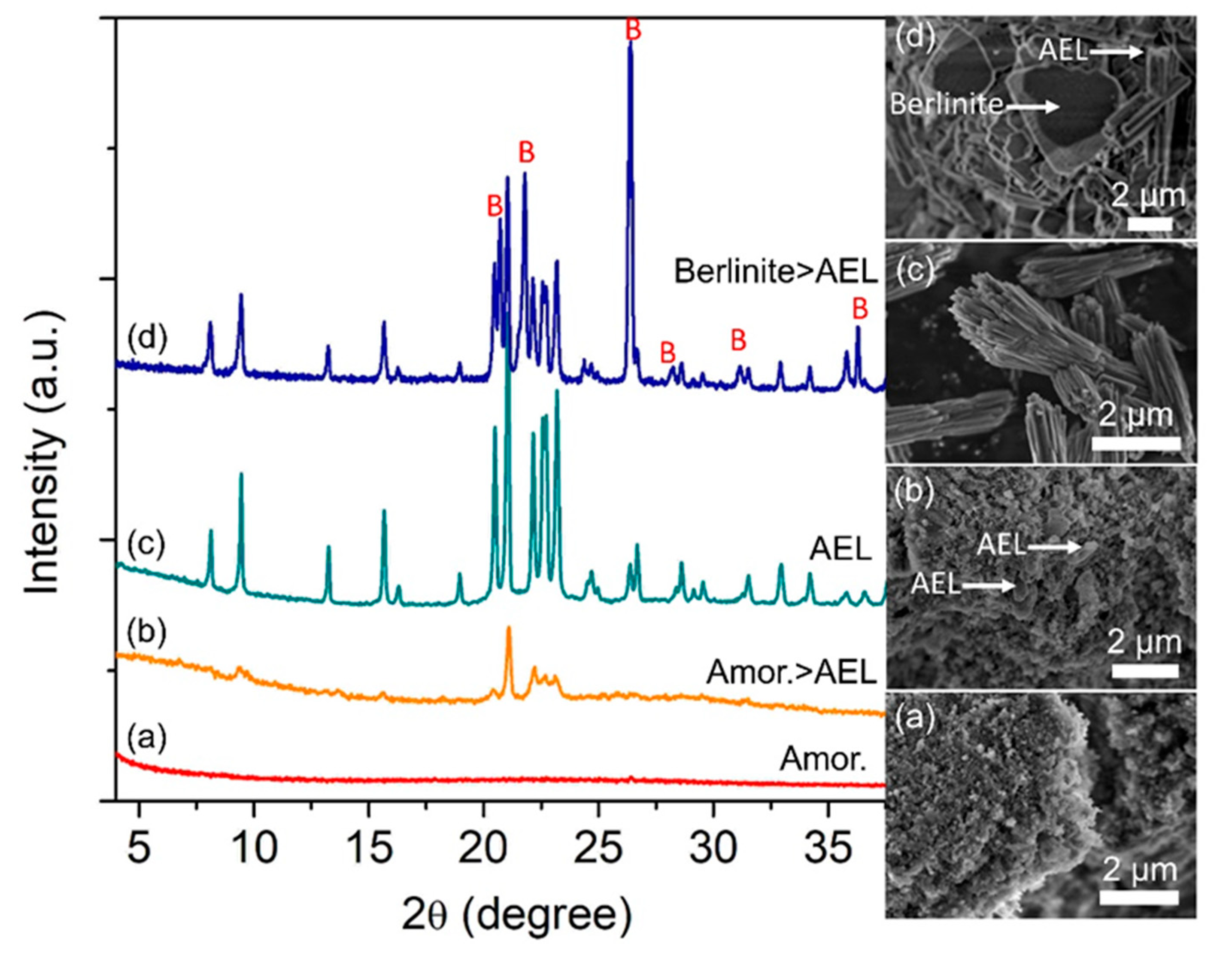 Catalysts 13 00433 g002
