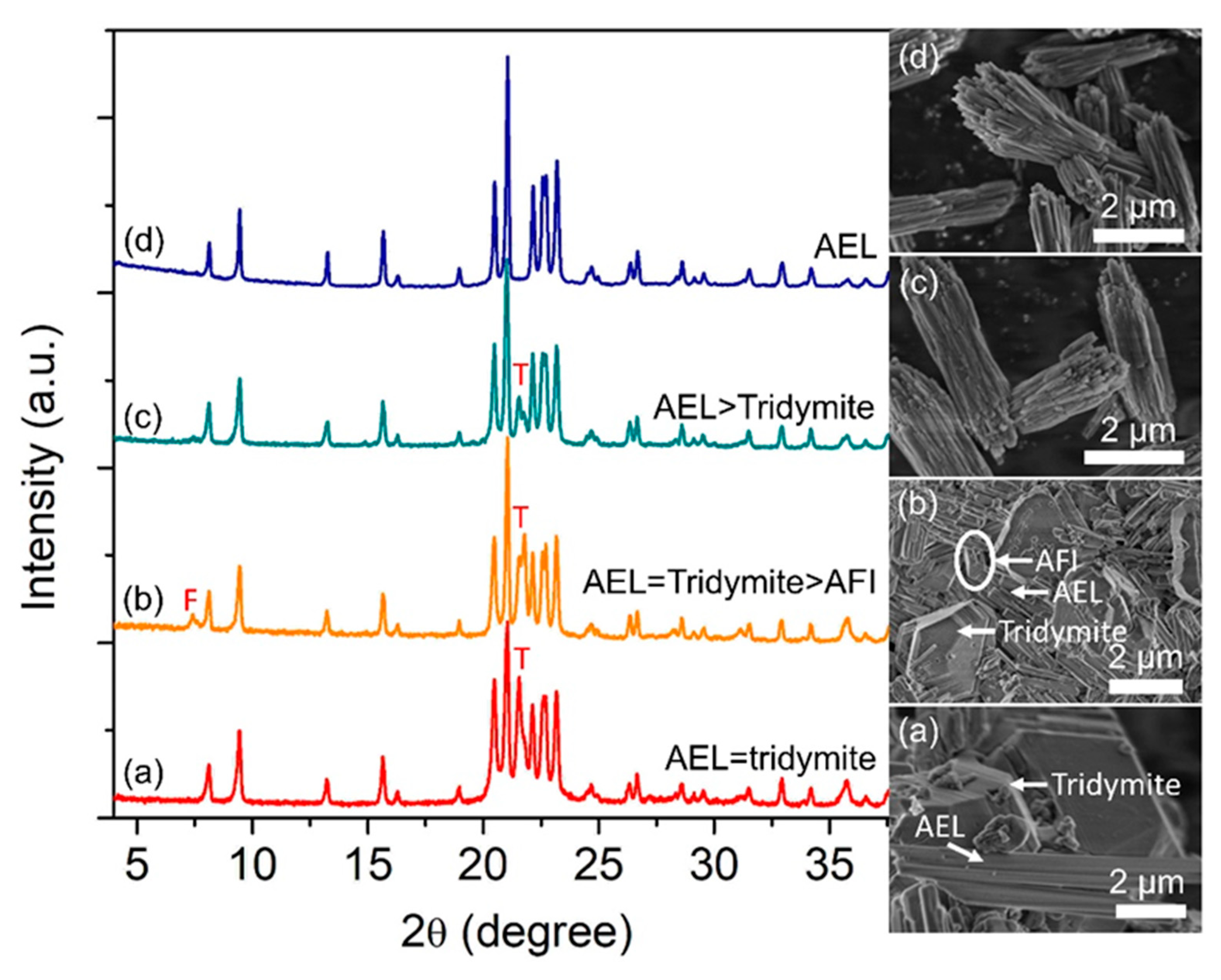 Catalysts 13 00433 g004
