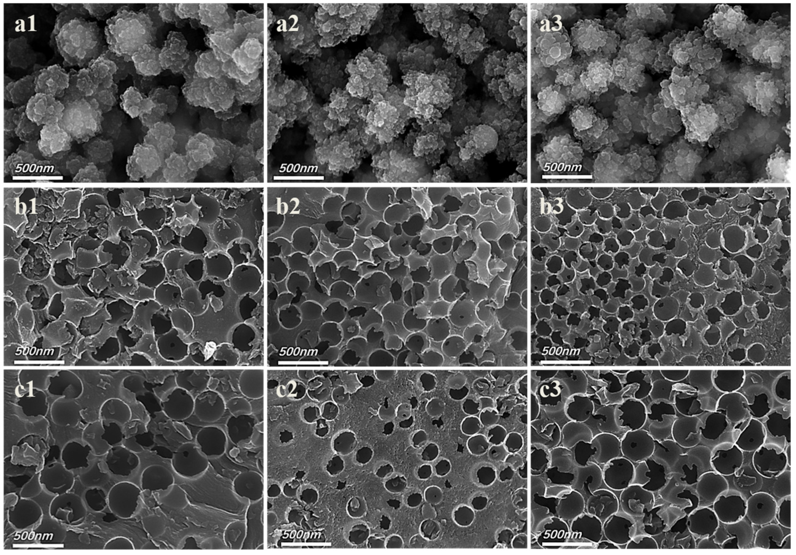 Catalysts 13 00435 g001