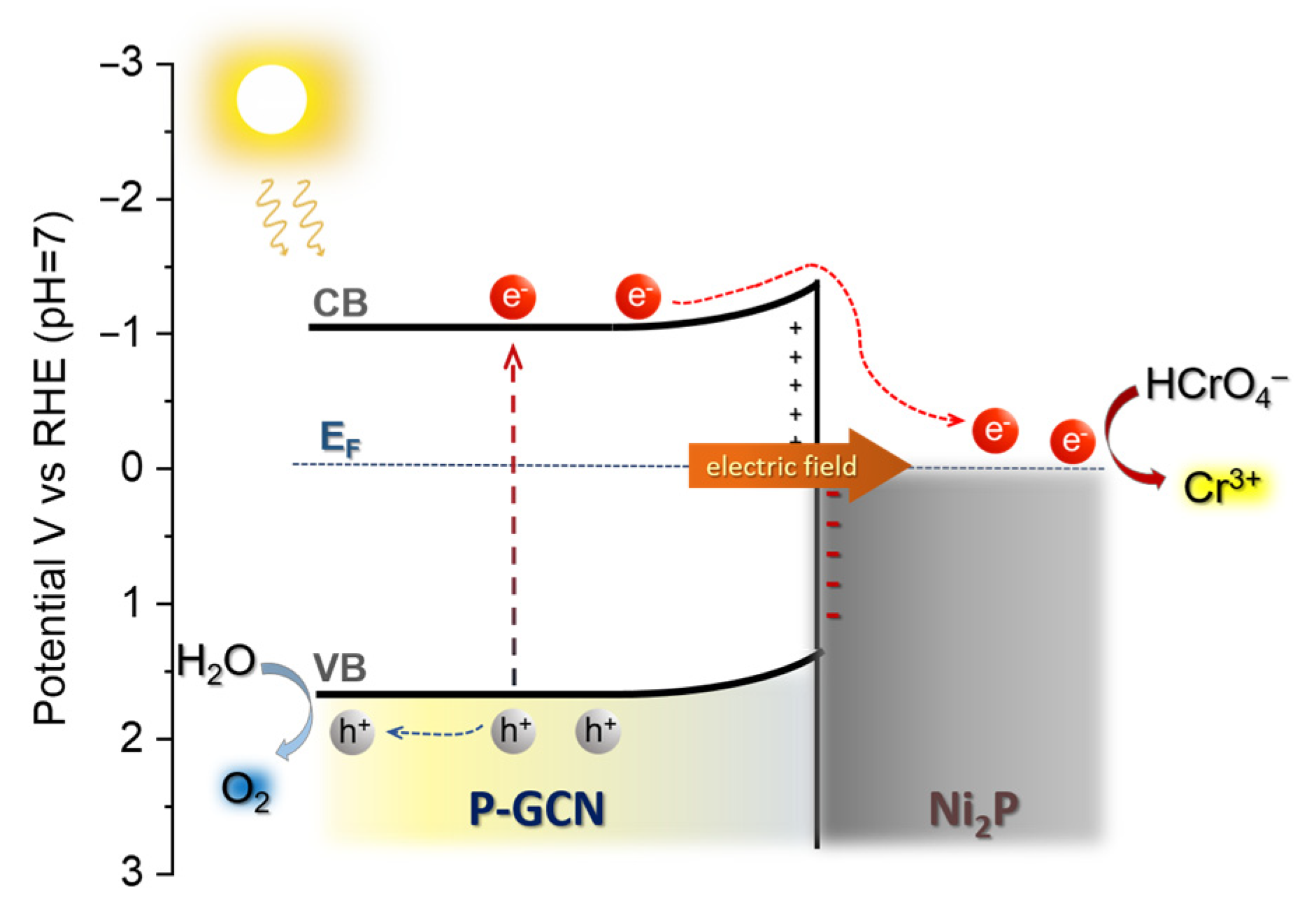 Catalysts 13 00437 sch001