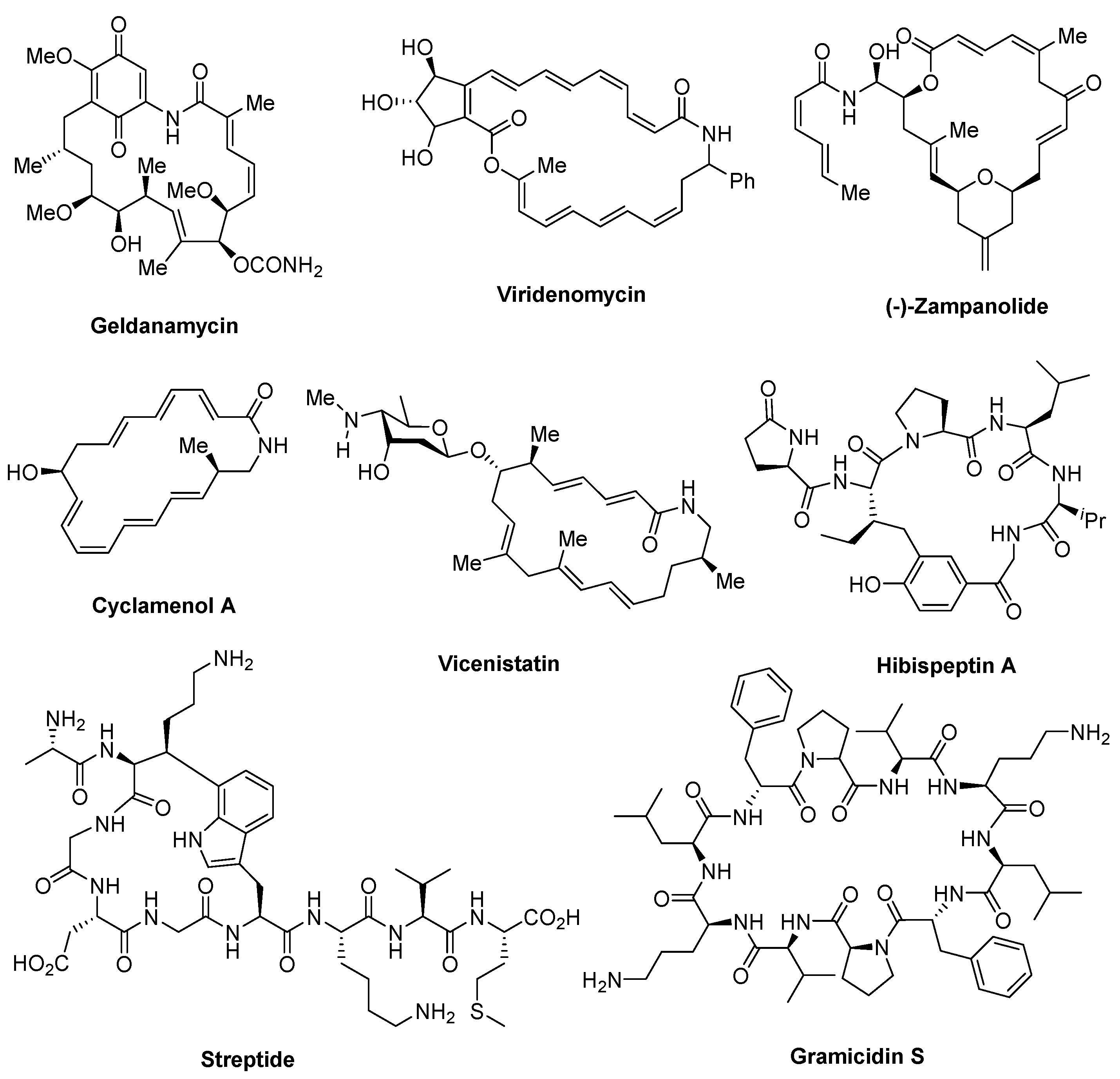 Catalysts 13 00438 g001