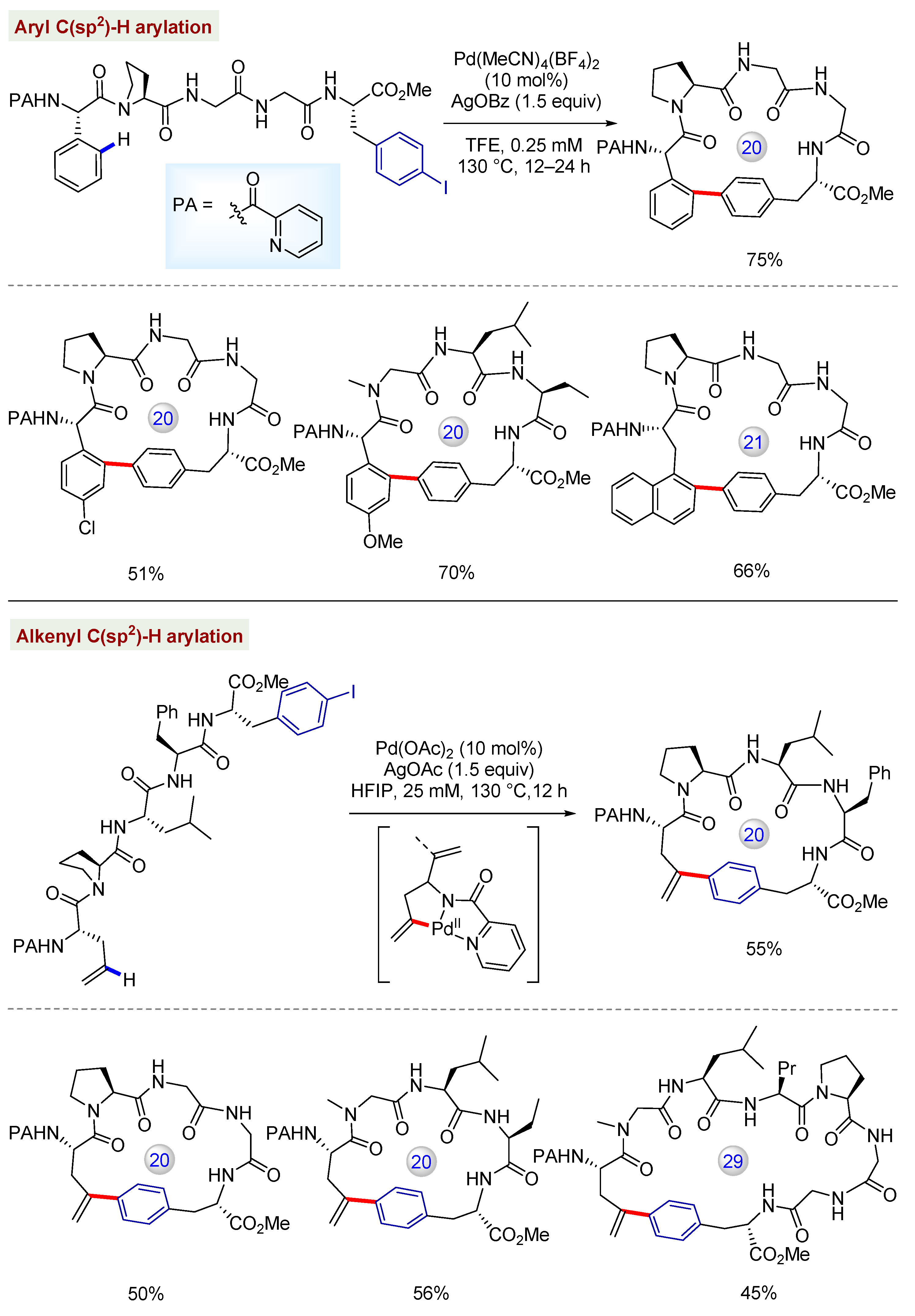 Catalysts 13 00438 g013