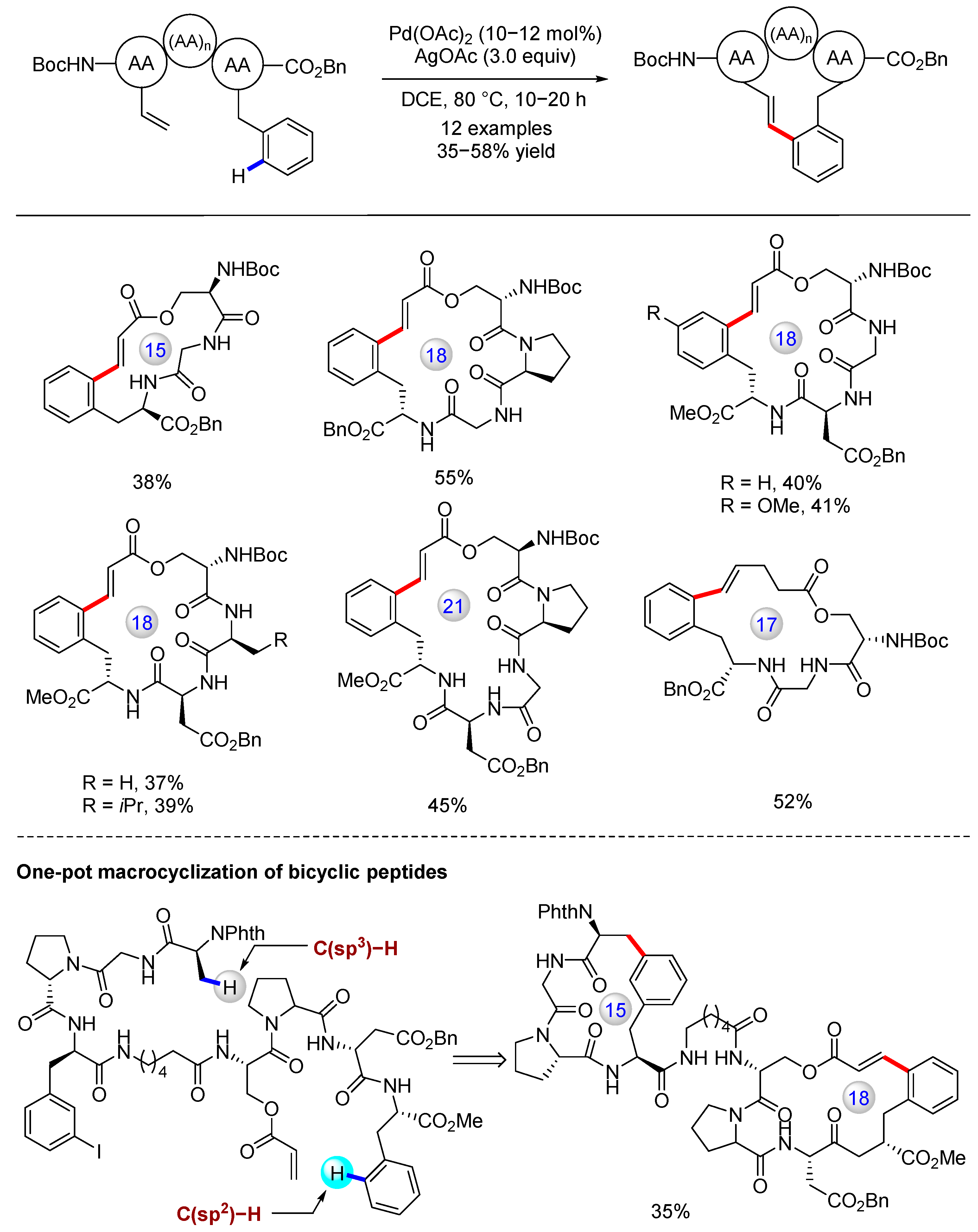 Catalysts 13 00438 g014