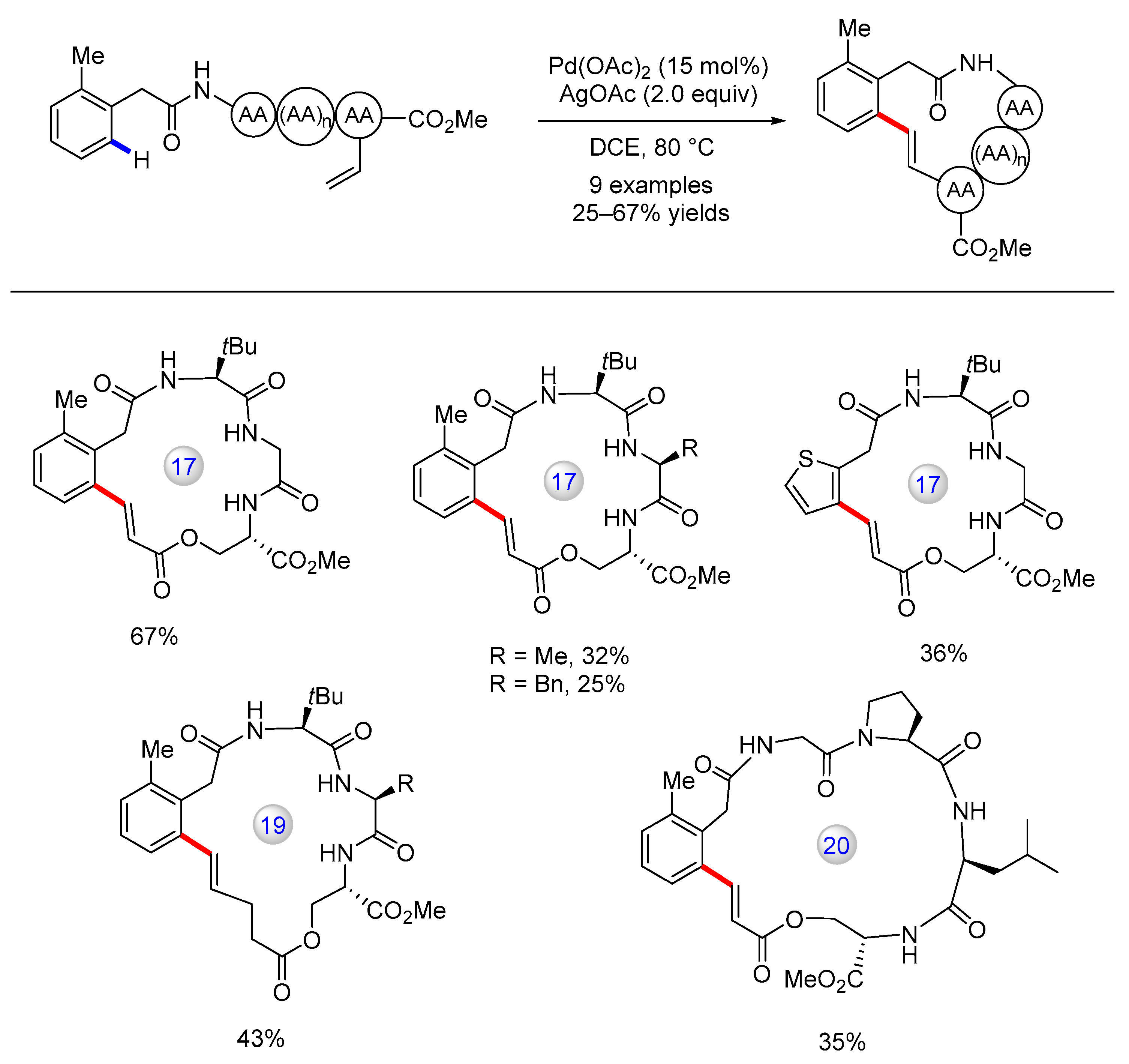Catalysts 13 00438 g016