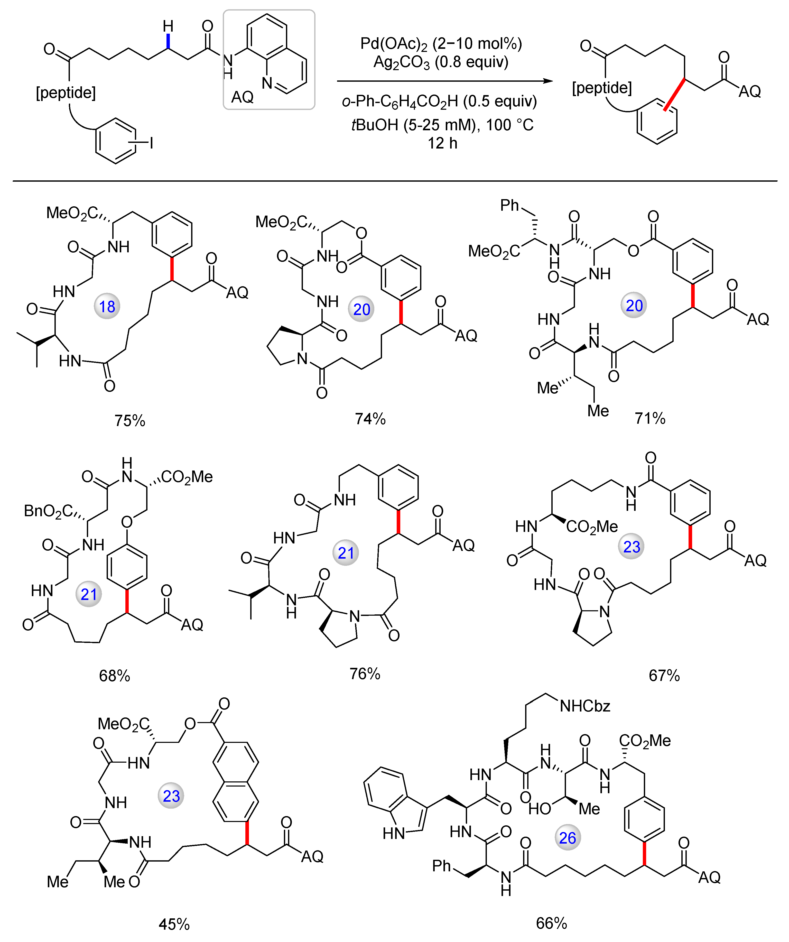 Catalysts 13 00438 g020