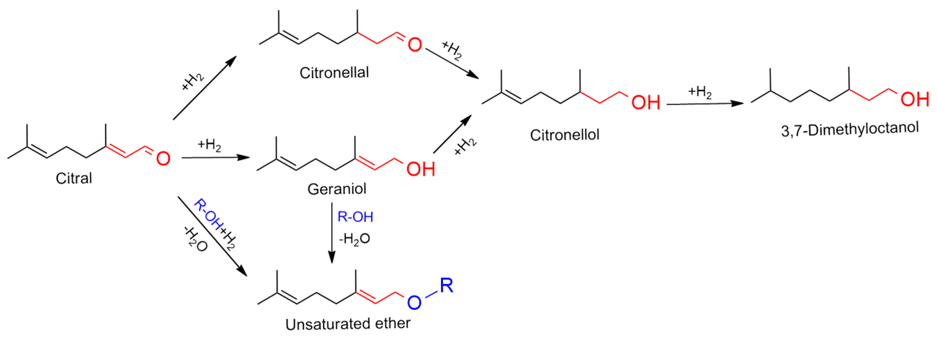 Catalysts 13 00439 sch001