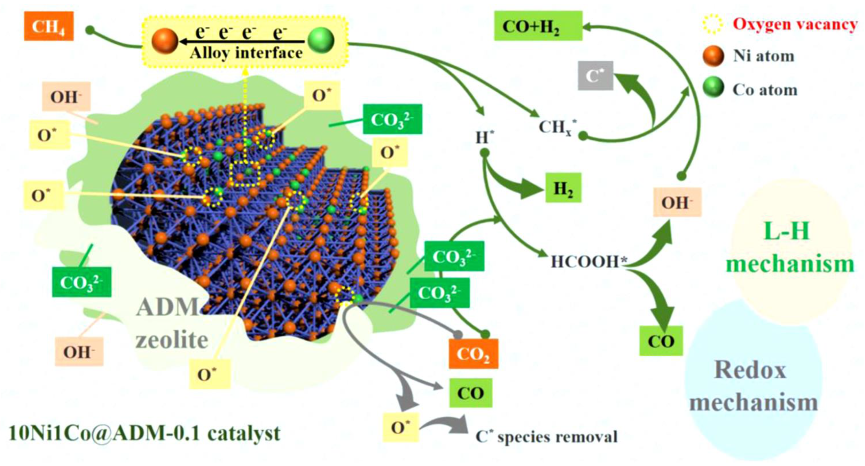 Catalysts 13 00440 g012