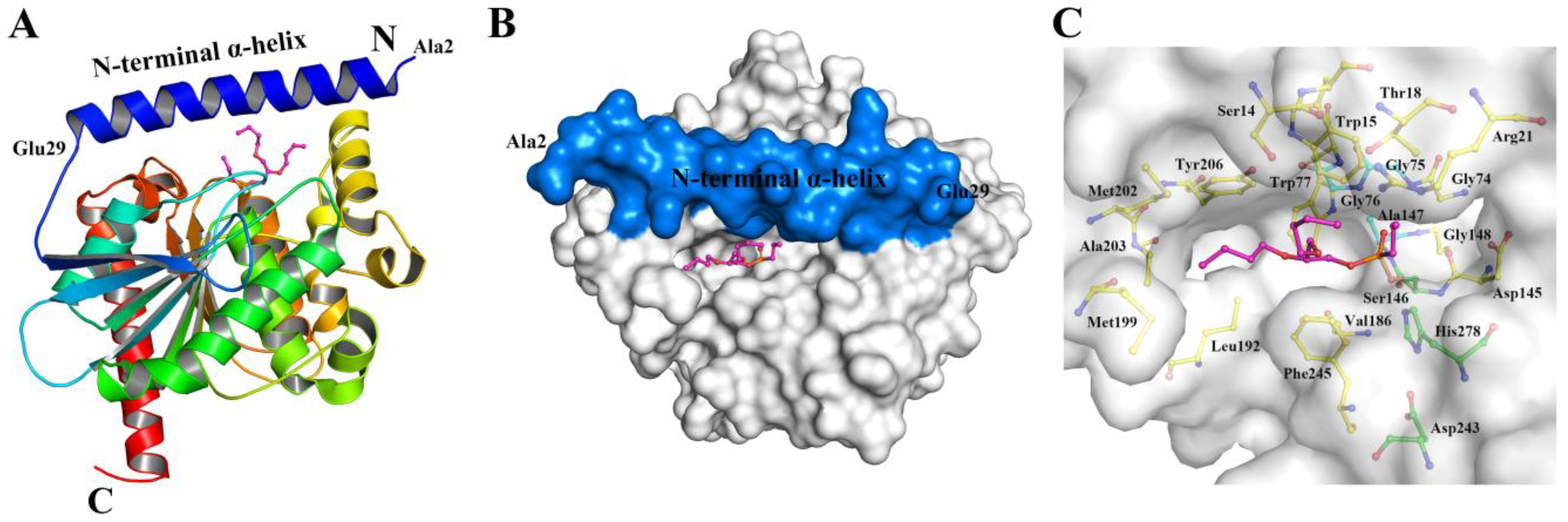 Catalysts 13 00441 g002 Catalysts 13 00441 g002