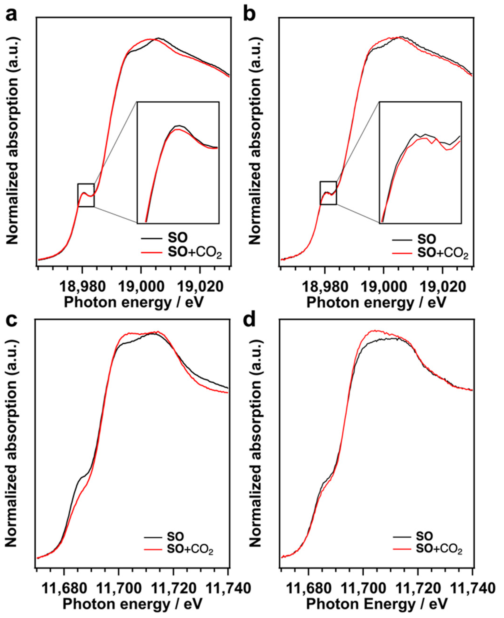 Catalysts 13 00442 g005