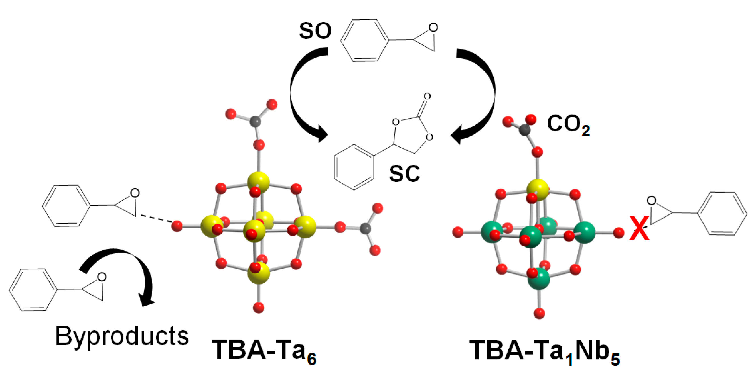 Catalysts 13 00442 sch001