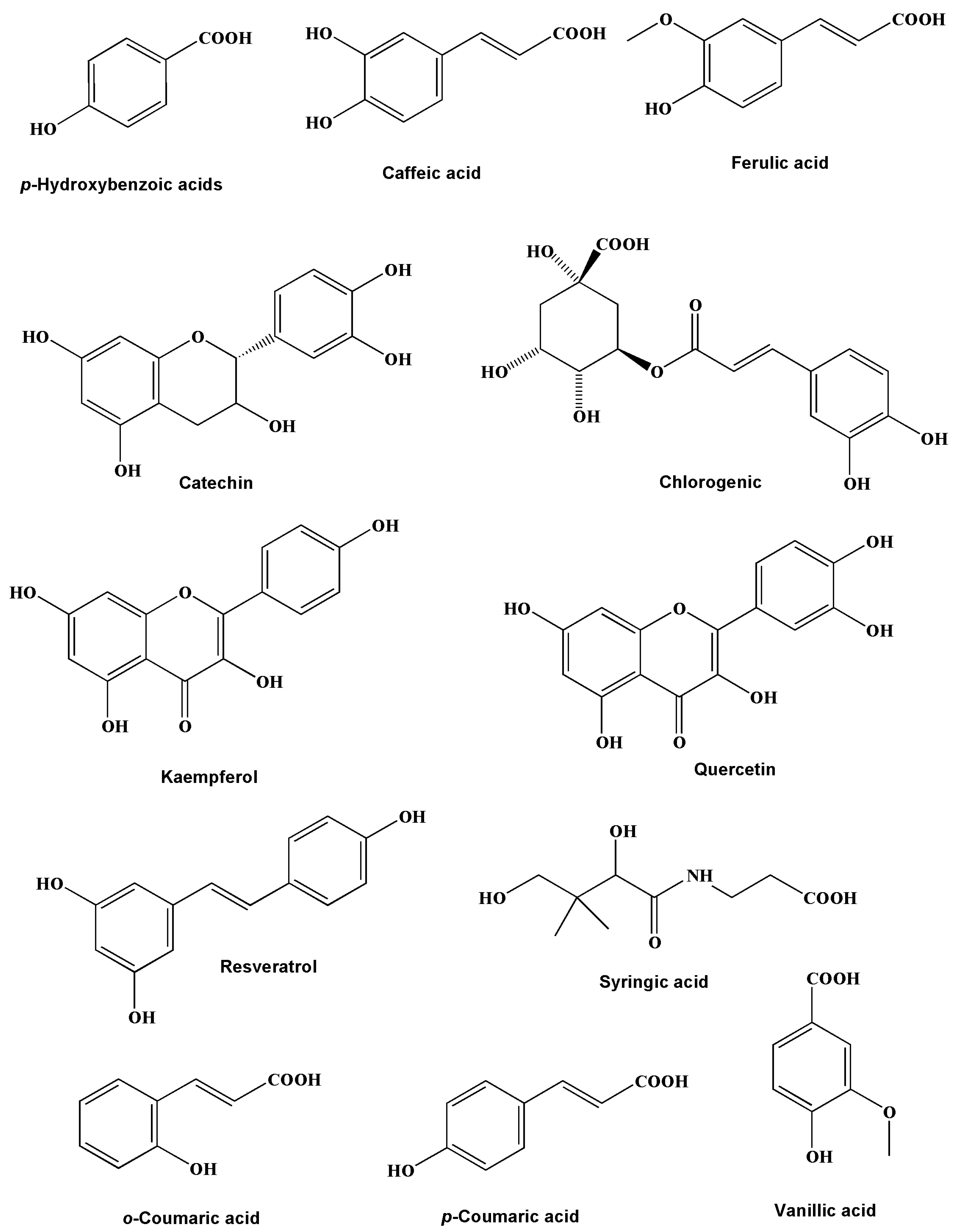 Catalysts 13 00443 g001