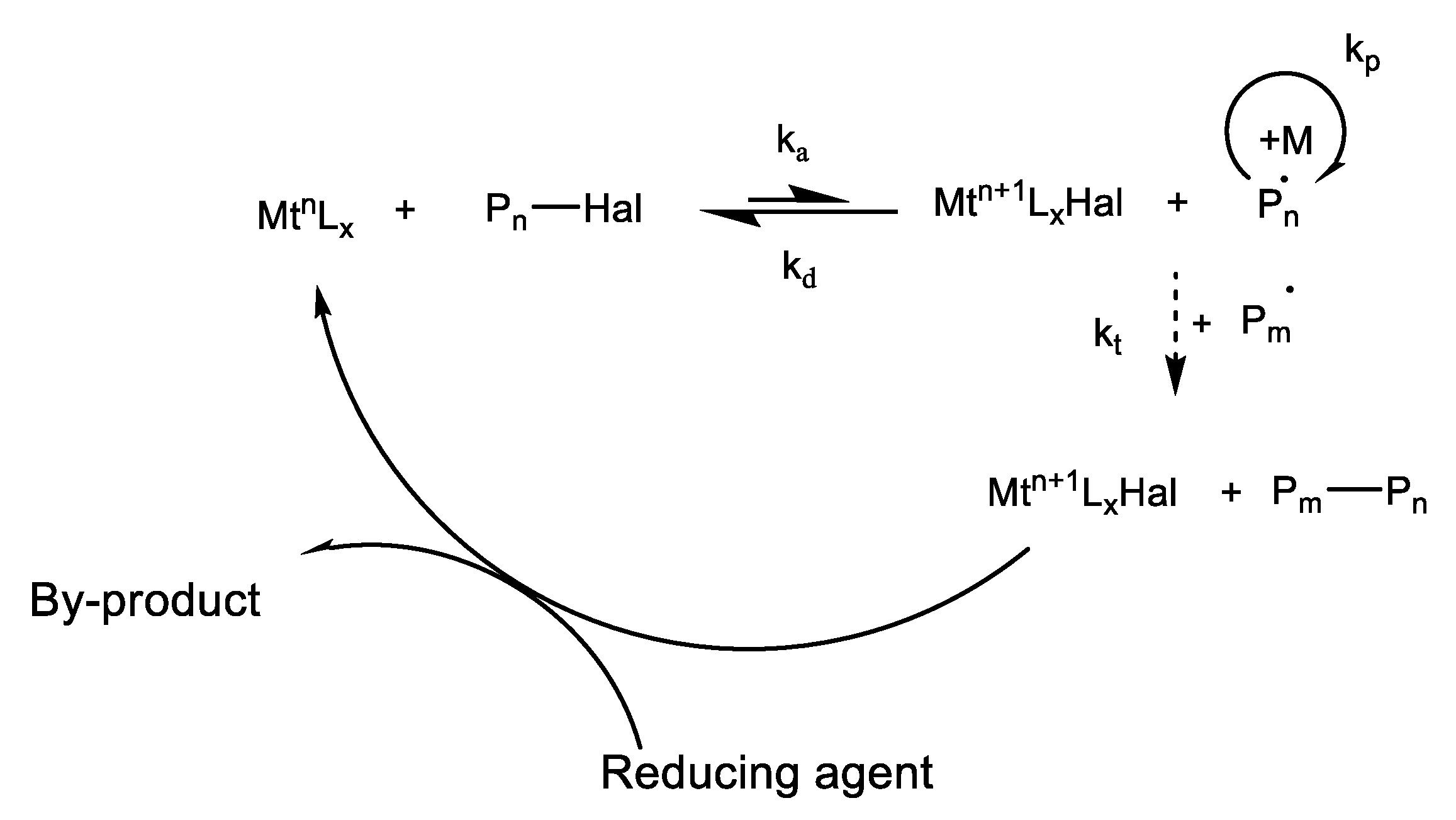 Catalysts 13 00444 sch001