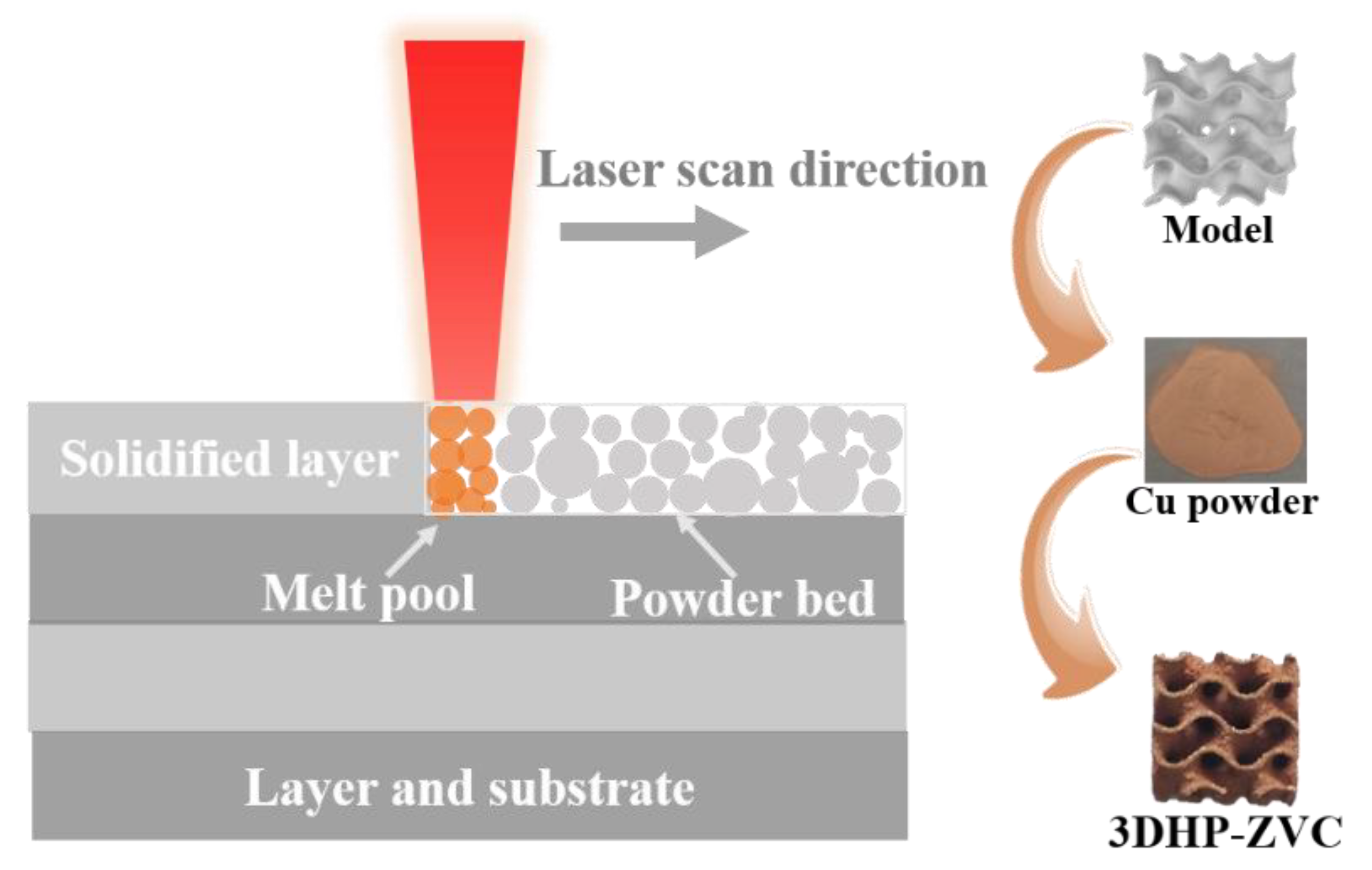 Catalysts 13 00446 g006