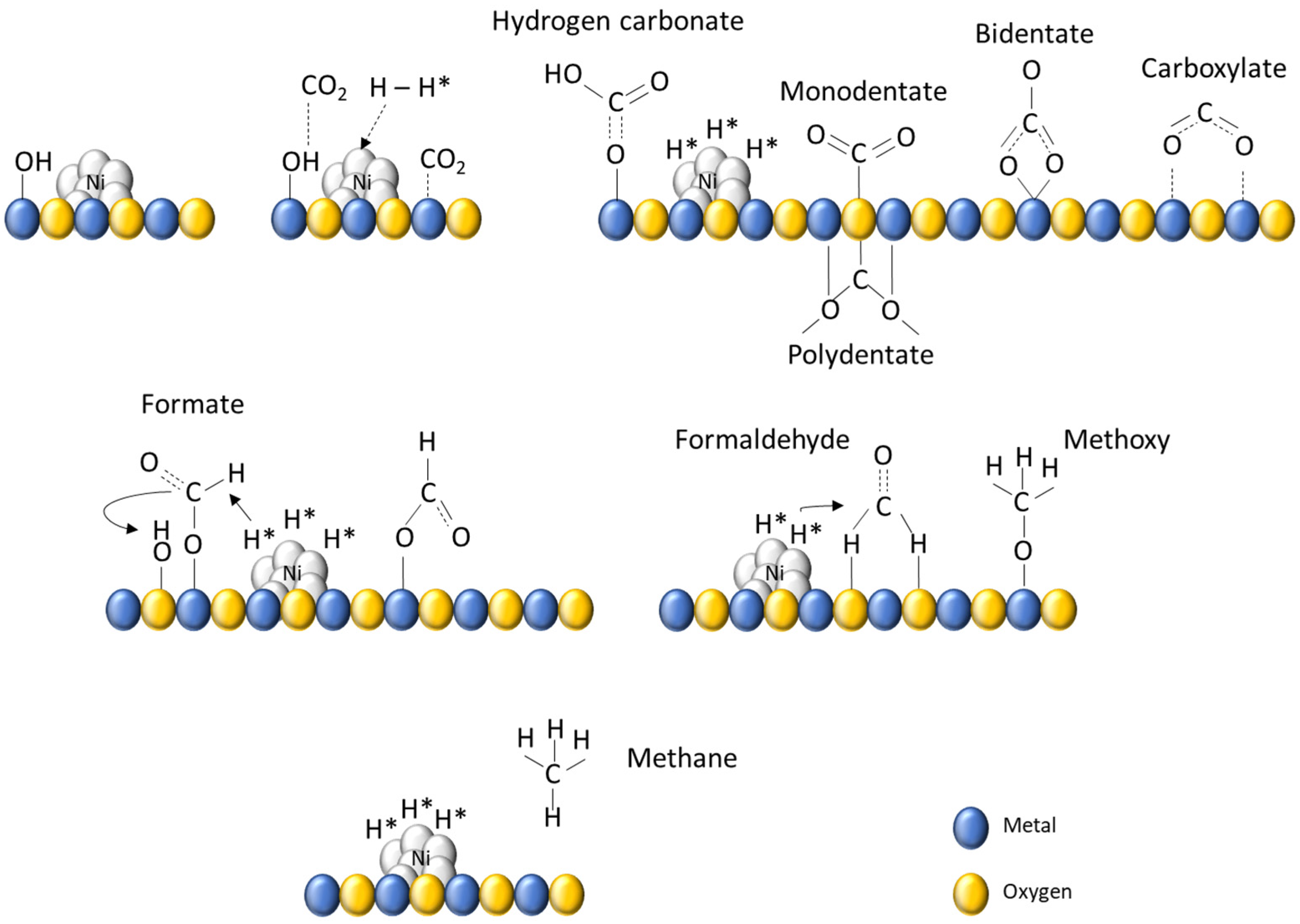 Catalysts 13 00448 g011